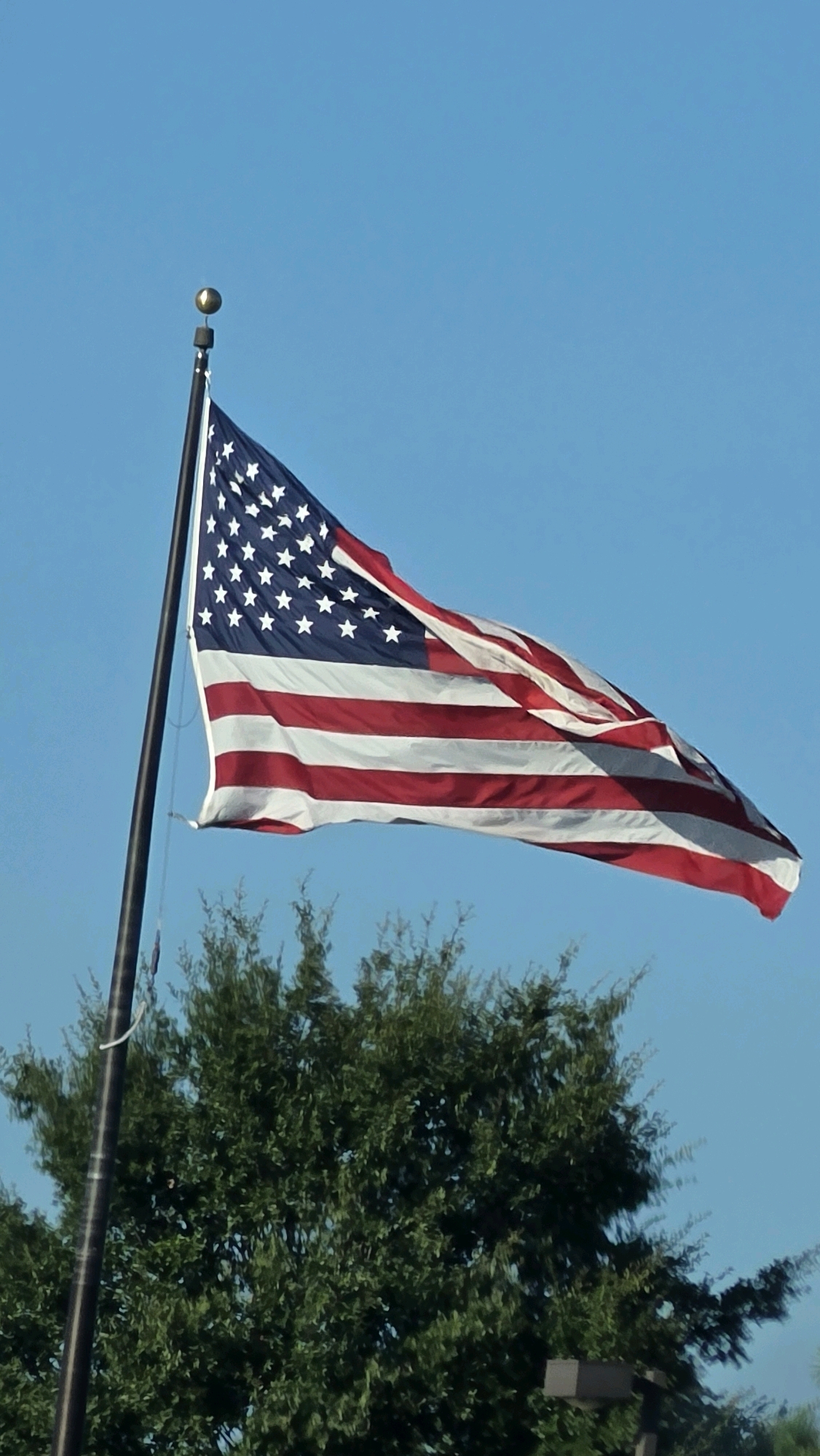 An American flag flies from a flagpole against a clear blue sky, with the top of a lush green tree visible below the flag. The flag is partially unfurled and appears to be made of fabric. The flagpole is black and has a gold ball at the very top. The tree is dense and full of leaves. The scene appears to be outdoors. No people are visible in the image. The location is not identifiable from the image provided.