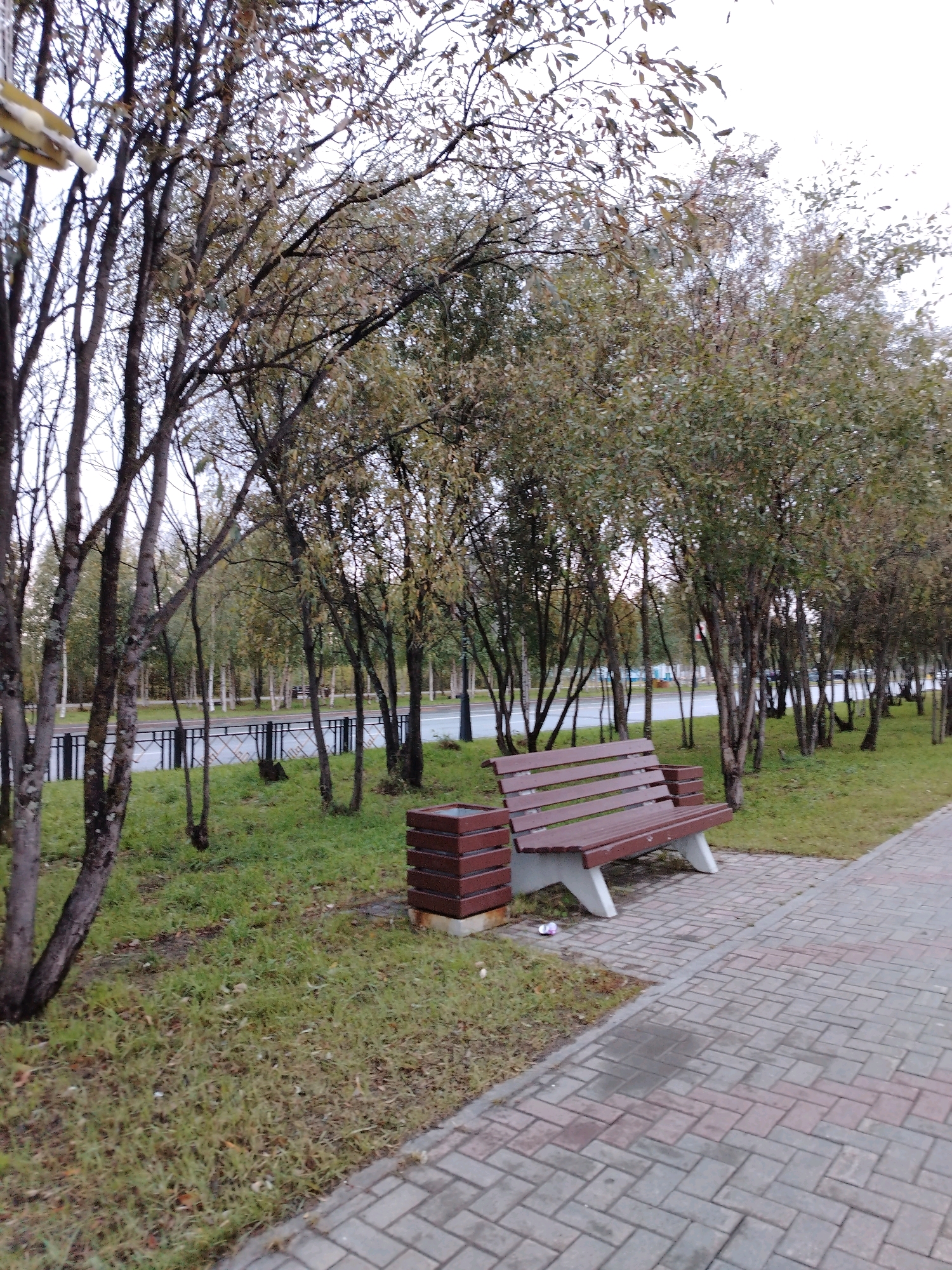 The image depicts a park-like setting in Muravlenko, Russia. A paved walkway with brick-patterned tiles runs diagonally across the foreground, wet from recent rain. To the left of the walkway, a brown wooden park bench with white legs sits on a patch of green grass, with a matching trash receptacle nearby. Behind the bench, a line of trees with thin trunks and sparse, autumn-colored foliage forms a backdrop. Beyond the trees, a road with a black metal fence separates the park area from what appears to be a street with some parked vehicles and buildings in the distance, suggesting an urban environment. The sky is overcast, contributing to a muted and slightly gloomy atmosphere. There are no people visible in the scene.