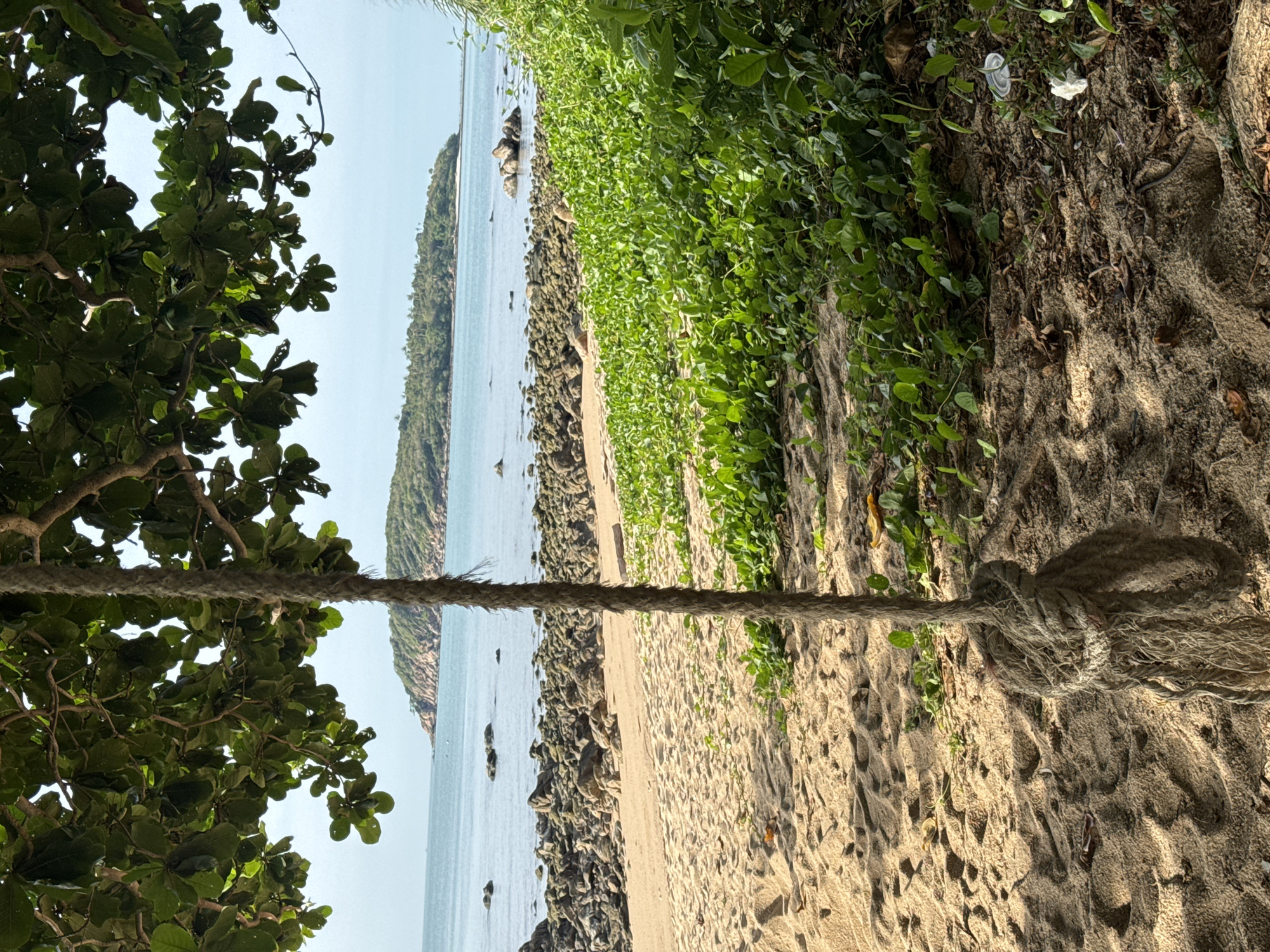 A natural, tropical beach scene is captured from a low angle. In the foreground, a thick, frayed rope hangs vertically, tied with a large knot, and appears to be part of a swing. The rope hangs over textured, light-colored sand which shows subtle footprints and scattered dry leaves. To the right, vibrant green vines with heart-shaped leaves grow densely, creeping across the sand and towards the foreground. Beyond the sand, a rocky shoreline is visible, with numerous smooth, grey and brown stones of varying sizes. The sea is calm and a pale blue, with gentle waves lapping at the shore. In the distance, a small, lush green island with a hilly landscape and scattered trees rises from the water, partially obscured by a branch laden with large, dark green leaves from a tree in the foreground. The sky is a hazy, light blue, suggesting a bright, possibly humid day. The image composition, with the rope in the foreground and the island in the distance, creates a sense of depth and a peaceful, remote atmosphere.