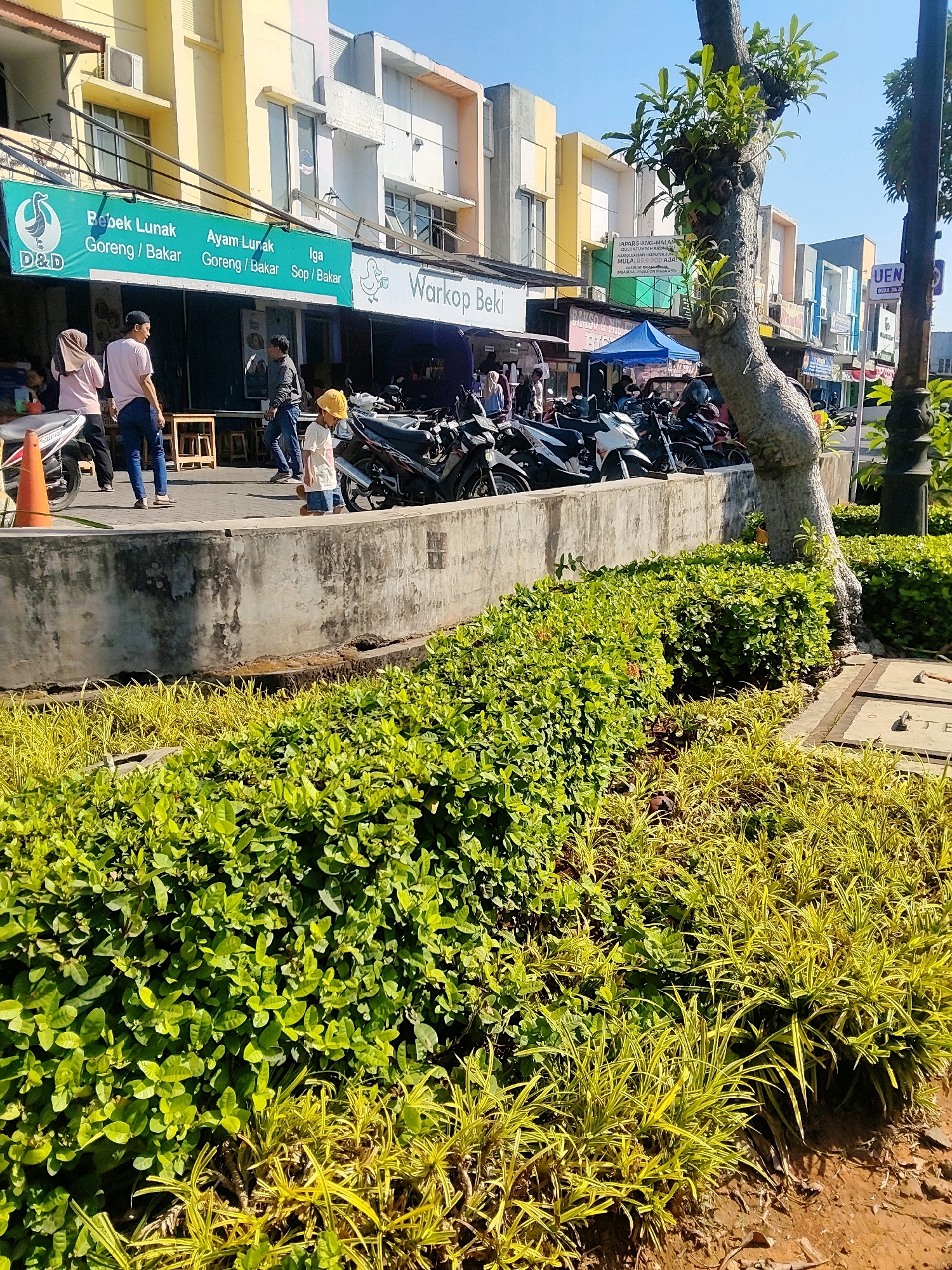 In Cibatu, Indonesia, a street scene unfolds under a clear, sunny sky. In the foreground, a well-maintained garden bed features lush green bushes alongside vibrant yellow-green ornamental grasses. A concrete wall separates the garden from a paved walkway where several motorbikes are parked.
On the walkway, three individuals stand near a building with a prominent green awning. Two women, one wearing a pink hijab and the other a pink shirt, are accompanied by a person in a grey long-sleeved shirt. To their right, a young child in a yellow hat and a white t-shirt is walking. The green awning displays text in Indonesian, advertising "Bebek Lunak Goreng / Bakar" (Soft Duck Fried/Grilled) and "Ayam Lunak Goreng / Bakar" (Soft Chicken Fried/Grilled), along with "Iga Sop / Bakar" (Ribs Soup/Grilled). Next to this sign is another, smaller sign for "Warkop Beki," indicating a coffee shop.
Further down the street, more shops with colorful facades are visible. A blue tent is set up, suggesting an outdoor vendor or seating area. The environment appears to be a commercial area with businesses lining the street, a common sight in Indonesian towns like Cibatu. The overall atmosphere is lively and reflects daily life in this Indonesian locale.
