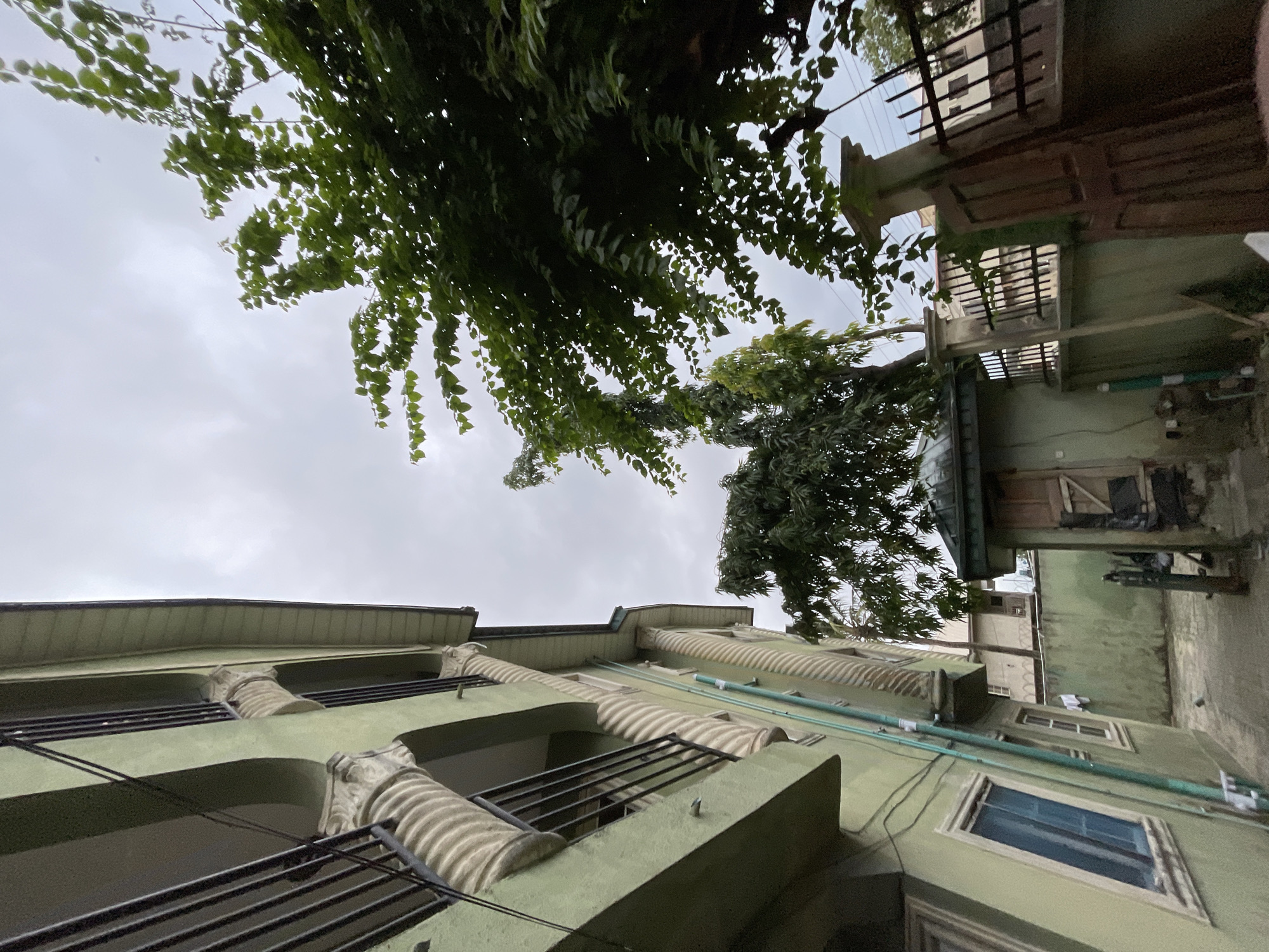 The image depicts an outdoor scene in Ado, Nigeria, focusing on the exterior of a pale green building with decorative columns and balconies. A large tree with dense green foliage dominates the right side of the frame, its branches reaching towards a cloudy sky. In the foreground, a narrow pathway leads between the building and a smaller structure with a wooden door, suggesting a residential or commercial area. A metal fence separates the property from what appears to be another building in the background. The overall impression is one of a typical urban environment in Nigeria, with a mix of architectural styles and abundant vegetation.