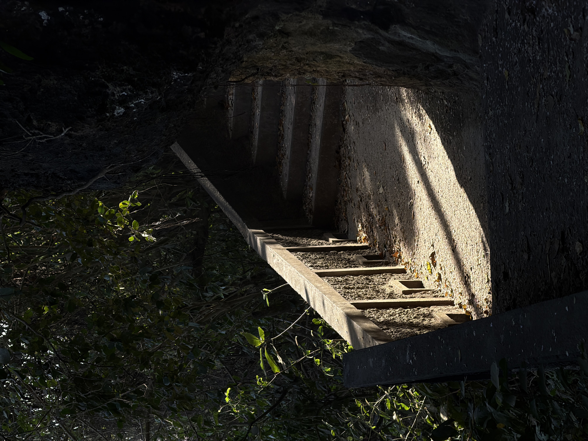 An elevated concrete path with a railing curves to the right, leading towards a set of concrete stairs. The path is partially illuminated by dappled sunlight filtering through dense foliage on the left and a rock face on the right. Leaves are scattered across the path and the stairs. The railing is made of concrete and has a textured, rocky lower section. Lush green vegetation is visible to the left of the path. The scene appears to be located in a natural, possibly forested or jungle-like environment within Kuta Selatan, Indonesia.