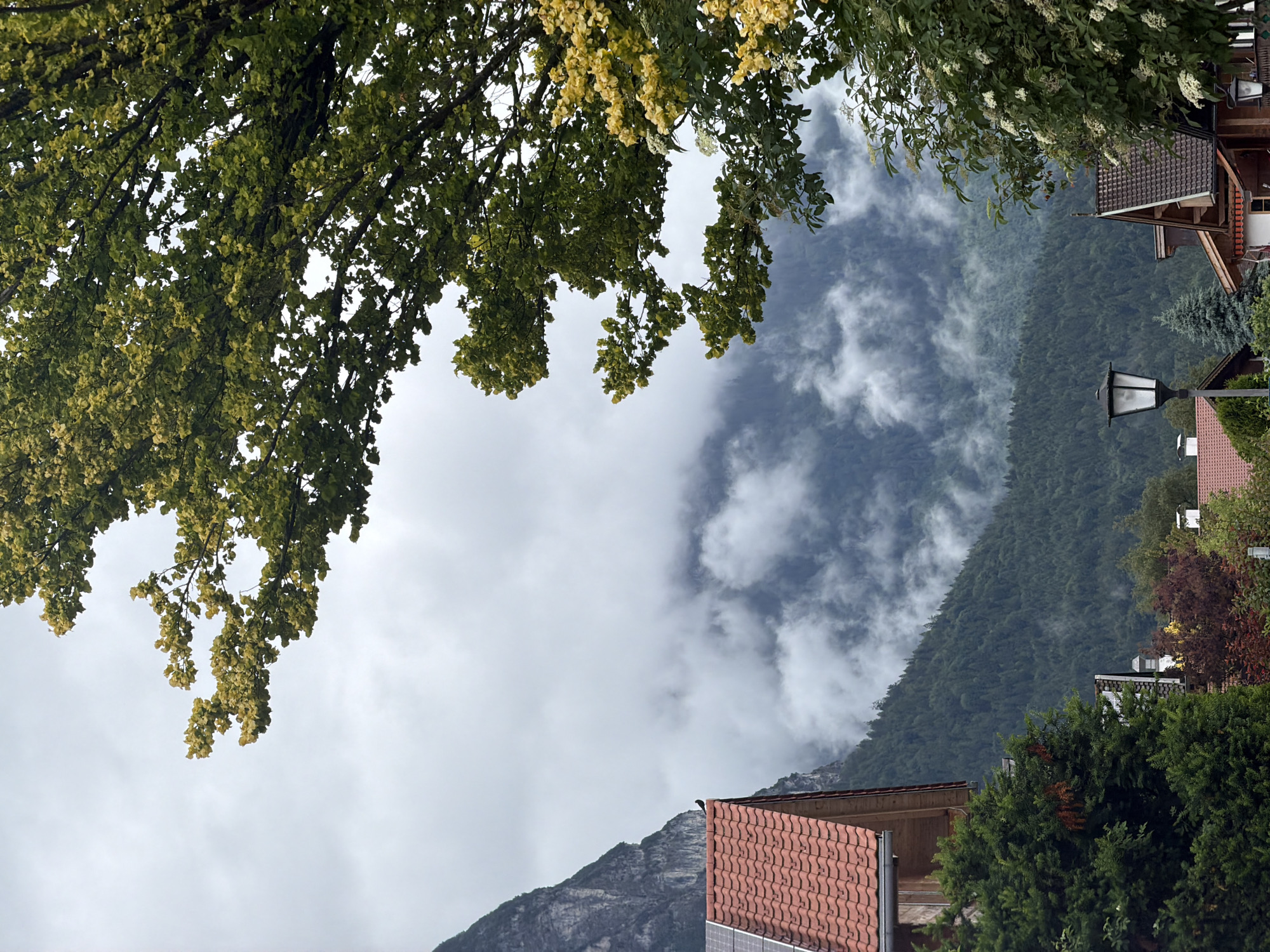 The image depicts a cloudy, overcast day in Garmisch-Partenkirchen, Germany, characterized by a dramatic mountain landscape partially obscured by mist. In the foreground, the roof of a traditional Bavarian house, covered with red tiles and featuring solar panels, is visible on the left. A solitary black bird is perched on the roof's edge. To the right, another house with a similarly tiled roof is partially visible, with a street lamp in front of it. Dense green trees and foliage dominate the lower part of the scene, with some trees exhibiting autumn colors. A large tree with yellowing leaves extends from the upper right corner of the frame, partially obscuring the sky and the mountain vista. The mountain itself is steep and rugged, covered with a dense forest that fades into the misty background. The overall impression is one of a serene, possibly damp, alpine village setting.