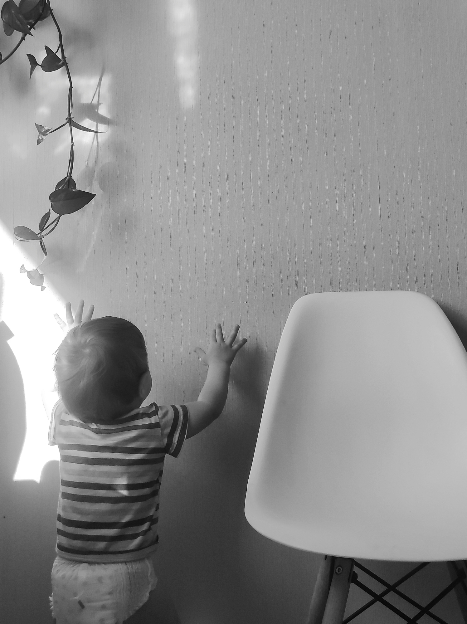 This black and white photograph captures an intimate indoor scene. A toddler, seen from behind, stands facing a textured wall, with both hands pressed against its surface. The child wears a striped short-sleeved shirt and a pull-up diaper. To the left, a trailing plant with dark leaves hangs vertically, casting prominent, elongated shadows onto the wall. Strong natural light, likely sunlight, enters from the left side of the frame, creating bright highlights on the child's back and the wall, emphasizing the shadows. On the right, a modern-style chair with a light-colored, possibly white, curved seat and wooden legs with a metal support frame is partially visible. The wall has a subtle vertical patterned texture. The scene suggests a child exploring their environment, possibly learning to stand or walk, bathed in natural light during daytime. No text is visible in the image.