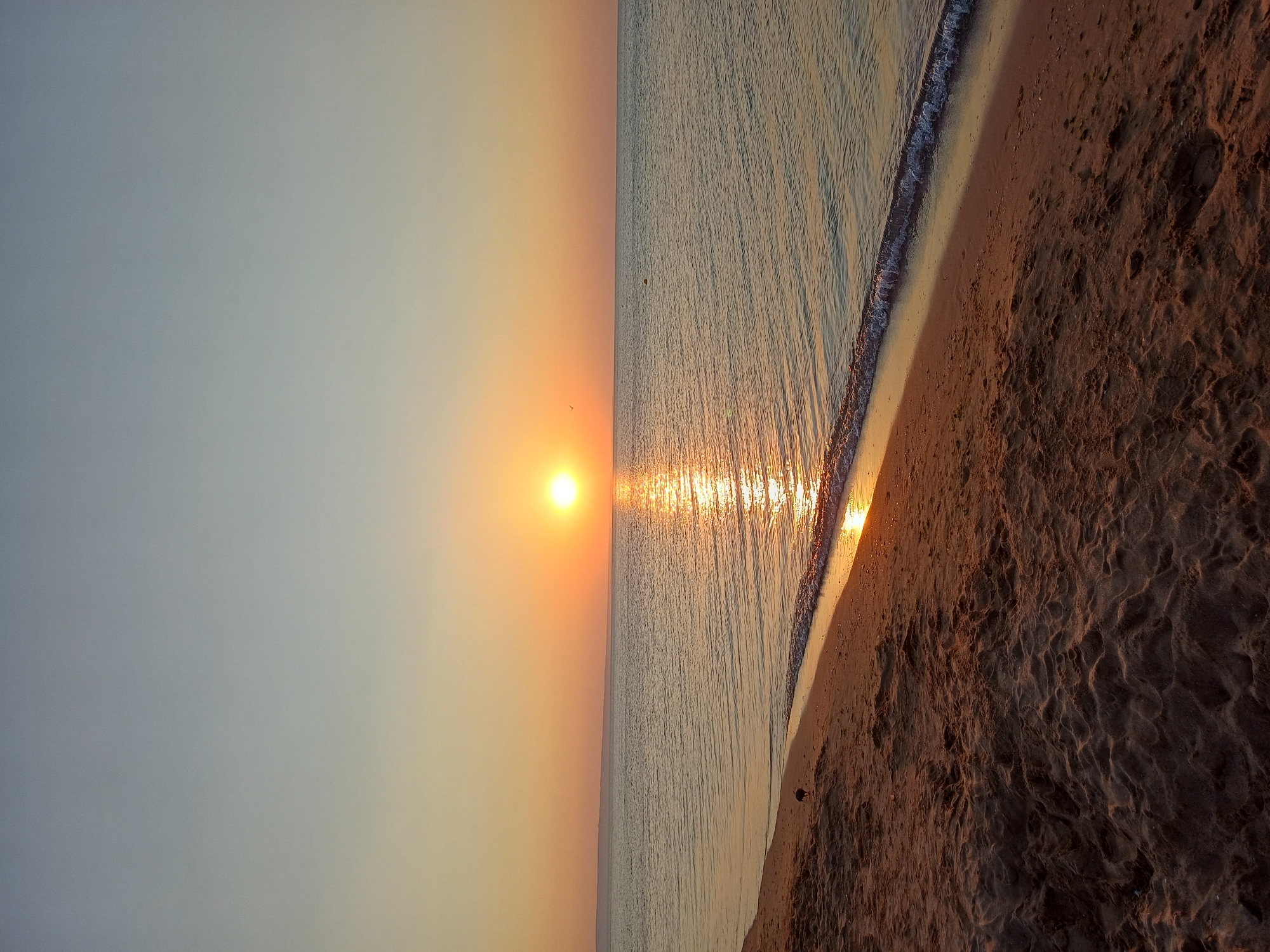 A serene sunset over the Black Sea is captured from the sandy shore of Varna, Bulgaria. The sun, a bright orange orb, is positioned slightly left of the center of the frame, casting a shimmering golden reflection across the calm water. The sky transitions from a pale blue at the top to a warm orange hue near the horizon, blending with the soft glow of the setting sun. A distant, faint landmass is visible along the horizon line. The foreground is dominated by the textured sand of the beach, with subtle undulations and shadows indicating footprints or the natural patterns of the sand. A thin line of gentle waves washes ashore, marked by a white foam. A single, dark-colored bird is standing on the wet sand near the water's edge, facing towards the sea. The overall impression is one of tranquility and natural beauty at the end of the day.