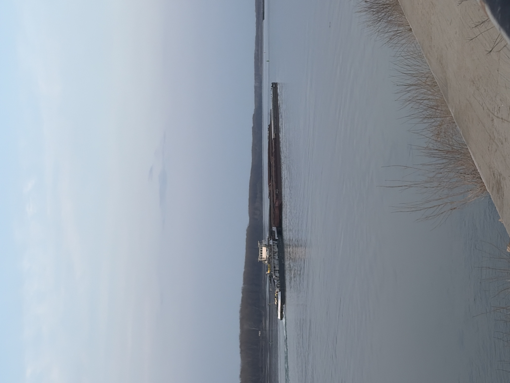 This image depicts a wide river view within the city of Lom, Bulgaria, likely the Danube River. A dark-hulled tugboat with a white superstructure is observed propelling a train of three dark-colored barges, laden with dark brown bulk material, from left to right across the water. A discernible wake trails behind the moving tugboat. In the middle distance on the water, a single green navigation buoy is visible. The distant riverbank, visible on the horizon, features a dense line of leafless deciduous trees, with a small, light-colored structure faintly discernible amidst the foliage. The sky above is pale blue with scattered, faint cloud formations. The immediate foreground on the right comprises a sloping concrete embankment partially covered by sparse, dry, light brown vegetation. No individuals are visible in the scene.