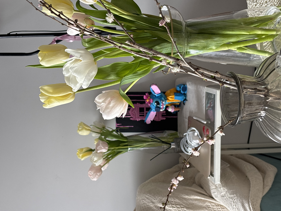 The scene depicts an indoor still life arrangement within a room in Krasnoyarsk, Russia. In the foreground, a ribbed, smoked-glass vase contains several bare branches with small, light pink and white blossoms. Adjacent to it, a clear glass vase holds a large bouquet of predominantly yellow and white tulips, with one light pink tulip visible.
In the midground, a white-topped side table displays several items. On the table, a light-colored laptop is open next to a coiled white cable and an Apple Pencil. A white air diffuser with black reeds stands nearby. Behind these items, a tall, cylindrical clear glass vase holds a bouquet of light pink, white, and yellow tulips. To the right, a blue "Stitch" character figurine, adorned with a yellow shirt, a pink floral headband, and holding a miniature ice cream cone, is positioned. Behind the figurine and diffuser, a black canvas features pink drip-art and a pink silhouette of a building.
The background consists of a plain, light grey wall. A section of a light-colored, textured blanket is draped over furniture on the far left. A black stand or lamp fixture is partially visible on the far right. No individuals are present in the image.