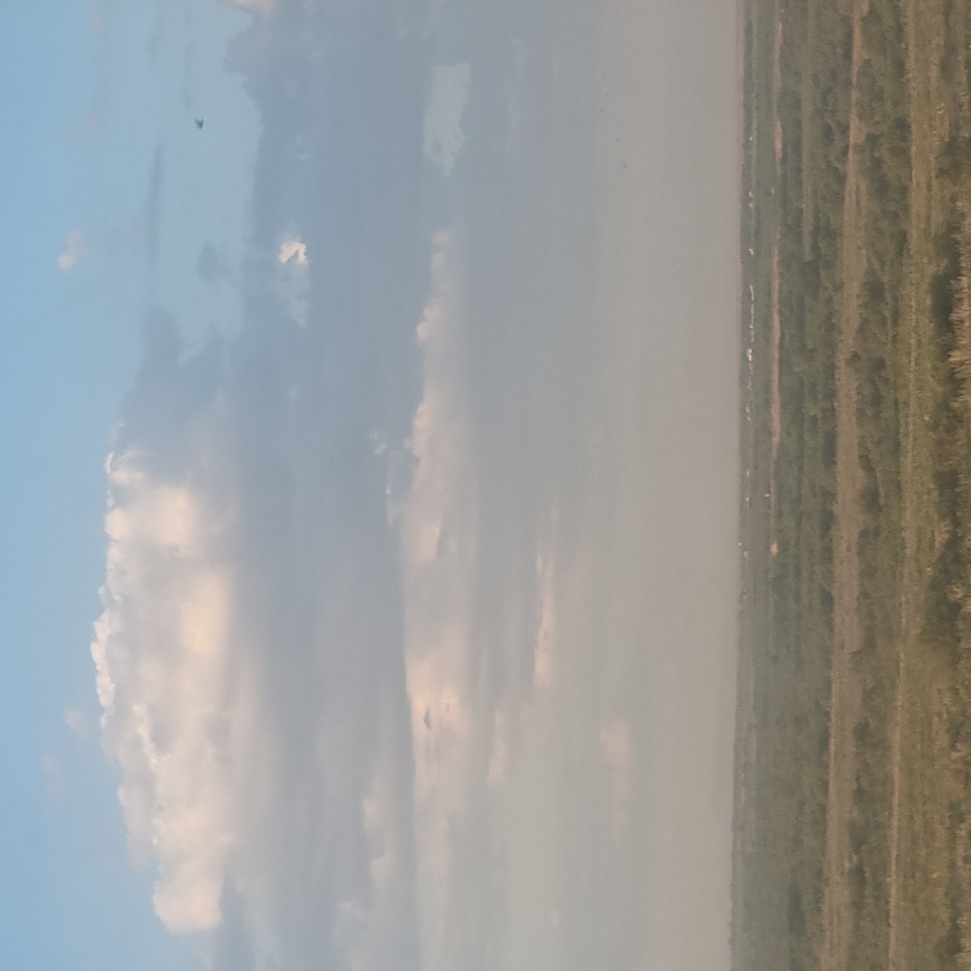 The image depicts a cloudy sky above a rural landscape, likely in Arys, Kazakhstan. The sky is filled with various types of clouds, ranging from soft, puffy white clouds illuminated by sunlight to darker, more diffused gray clouds. In the upper left portion of the sky, a small, dark object appears to be a distant aircraft or bird.
The lower portion of the image shows a field with distinct rows, suggesting it is cultivated land. The colors of the field range from green to brown, indicating possibly different crops or stages of growth. A thin, hazy mist or smoke seems to hover over the field, obscuring the horizon and some of the details. The overall lighting suggests it could be late afternoon or early morning, with diffused sunlight filtering through the clouds. The scene evokes a sense of calm and open space. There is no visible text in the image.