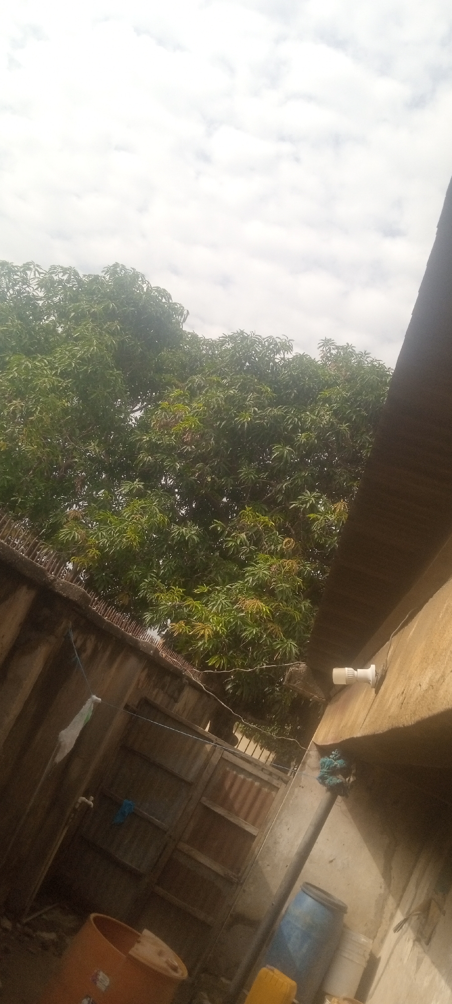The image depicts an outdoor scene in Sabon Tasha, Nigeria, partially obscured by shadows. Overhead is a cloudy sky, and a large tree with green foliage dominates the upper portion of the frame. Below, corrugated metal fencing and the corner of a building are visible. A white security camera is mounted on the building's wall. In the foreground, there is what appears to be a collection of plastic barrels. The lighting suggests the photo was taken during daylight hours.