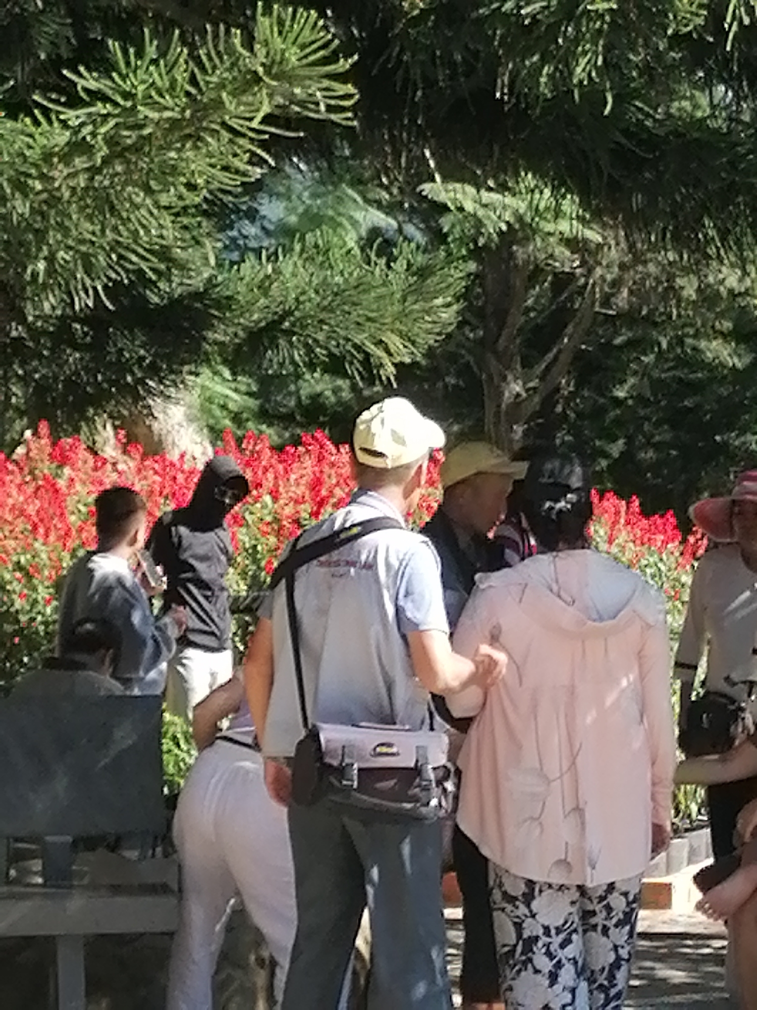 In Da Lat, Vietnam, a group of people are gathered in a garden setting. Dominating the foreground are several individuals. A person wearing a light blue shirt and a yellow cap stands facing away from the camera, with a black bag slung across their chest. To their right, a person in a light pink hooded jacket with a floral pattern on their pants is also facing away, with their left arm around the shoulders of another individual. This second individual is wearing a dark shirt and appears to be partially obscured. Further to the left, a person in a grey top and pants is partially visible. Behind them, amidst a vibrant display of red flowers, stands a figure entirely covered in a dark hooded garment, including their face, leaving only their hands visible. To the far right, another individual is partially seen, wearing a lighter colored top and a red-patterned hat. The background is filled with lush green trees and foliage, suggesting a park or botanical garden. The lighting indicates it is daytime, with sunlight casting shadows.