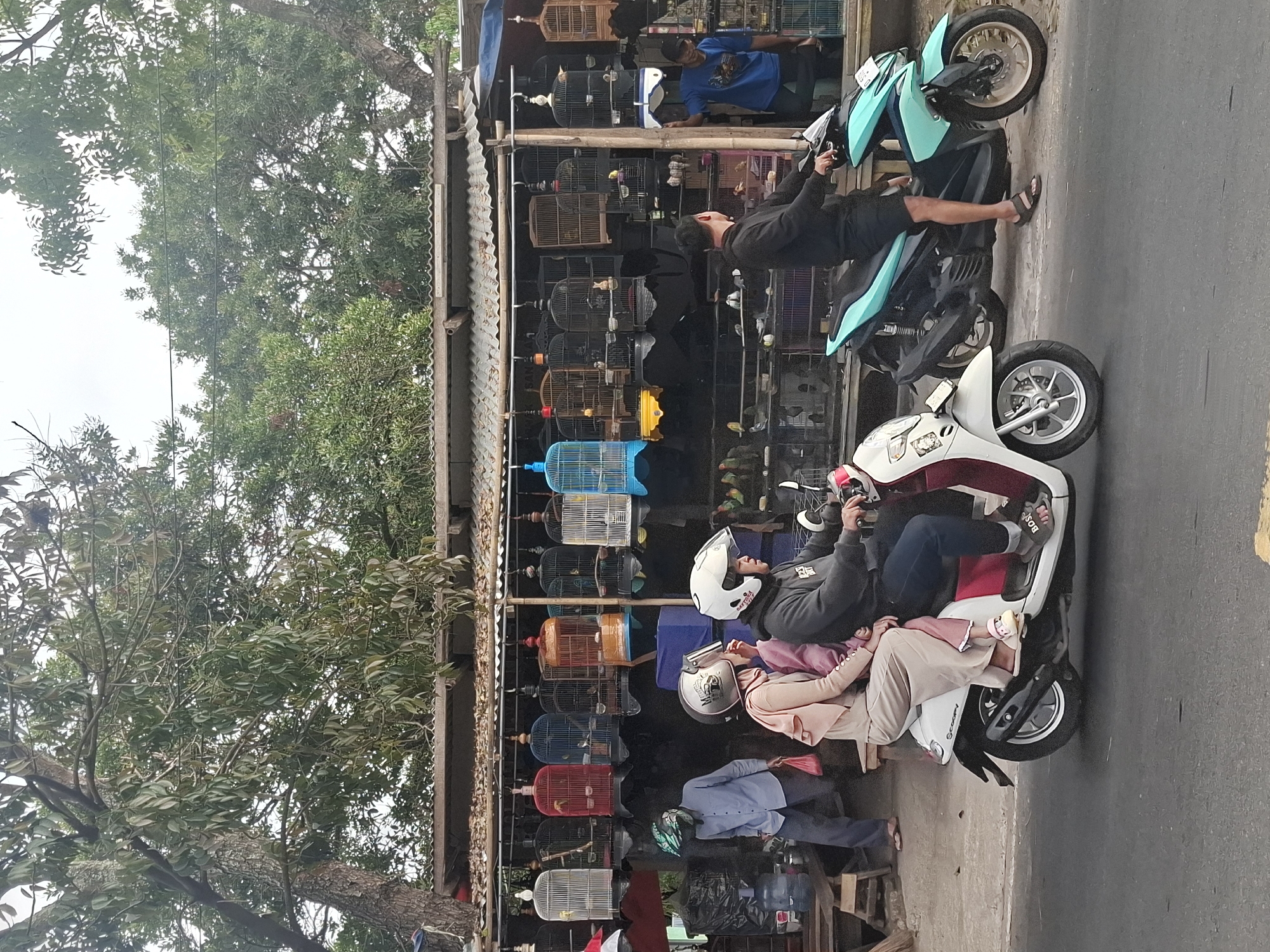 A market stall selling birds and cages is situated on the side of a road in Rancagoong, Indonesia. The stall features numerous bird cages hanging from a rack, displaying various types of birds. In front of the stall, two people are riding on a white scooter, with the rider wearing a helmet and the passenger behind wearing a headscarf and also a helmet. To the right of the scooter, another person is riding a teal-colored motorcycle. A man in a blue shirt is standing near the stall, and another person in a blue shirt is visible in the background, interacting with the stall. The environment appears to be outdoors, with trees and a cloudy sky overhead. The road surface is asphalt.