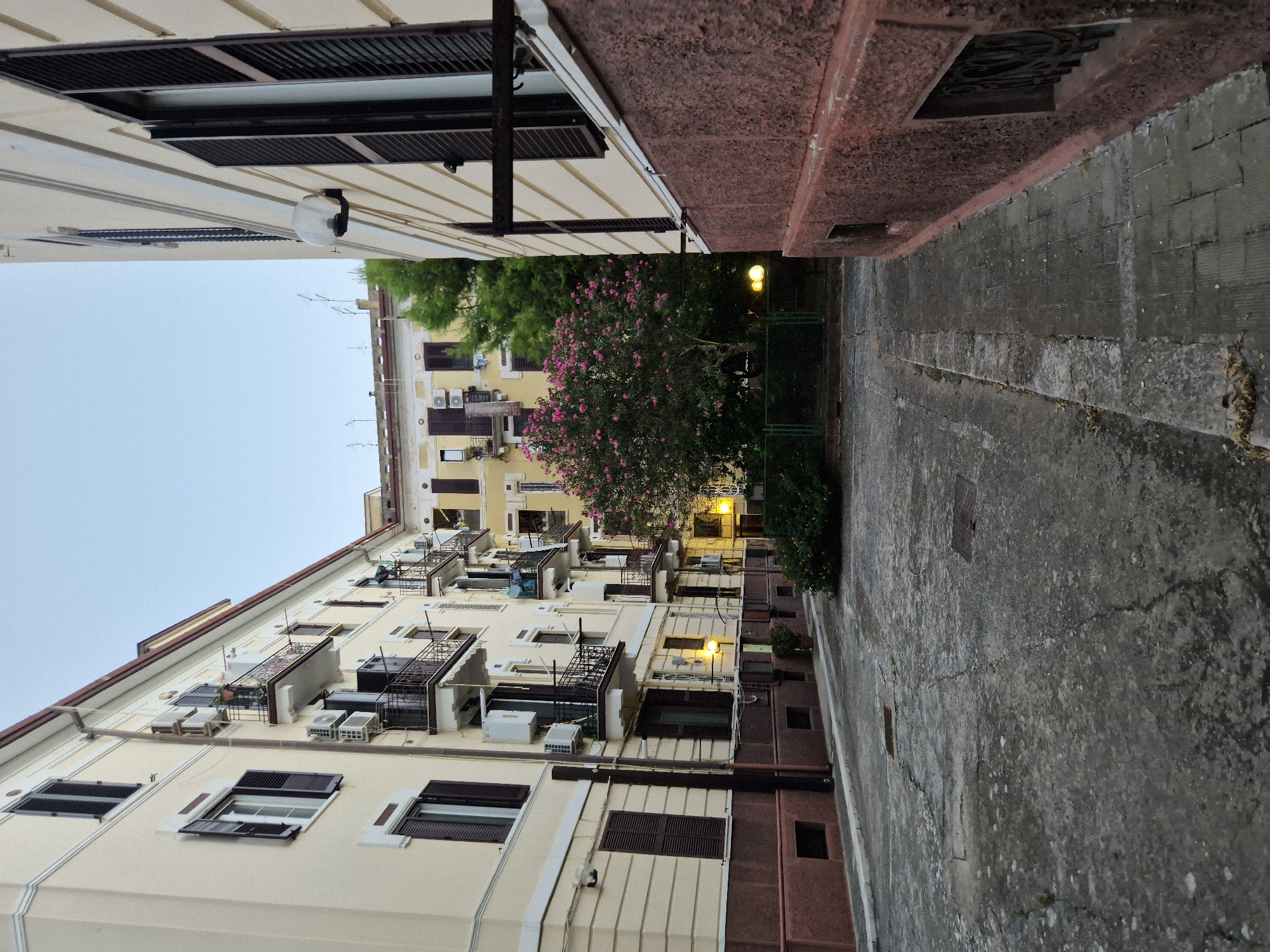 The image depicts a narrow courtyard between buildings in Taranto, Italy. The buildings are multi-story structures with cream-colored facades, dark shutters, and balconies. Air conditioning units are visible on the exterior walls of the buildings. A flowering tree with pink blossoms is situated in the middle of the courtyard, surrounded by greenery and a low fence. The ground is paved with concrete, showing signs of wear and tear. Two streetlights with yellow illumination are visible in the background. The sky is overcast and the lighting suggests it is either early morning or late evening. There are no people or animals visible in the scene. The overall impression is one of an urban residential setting.