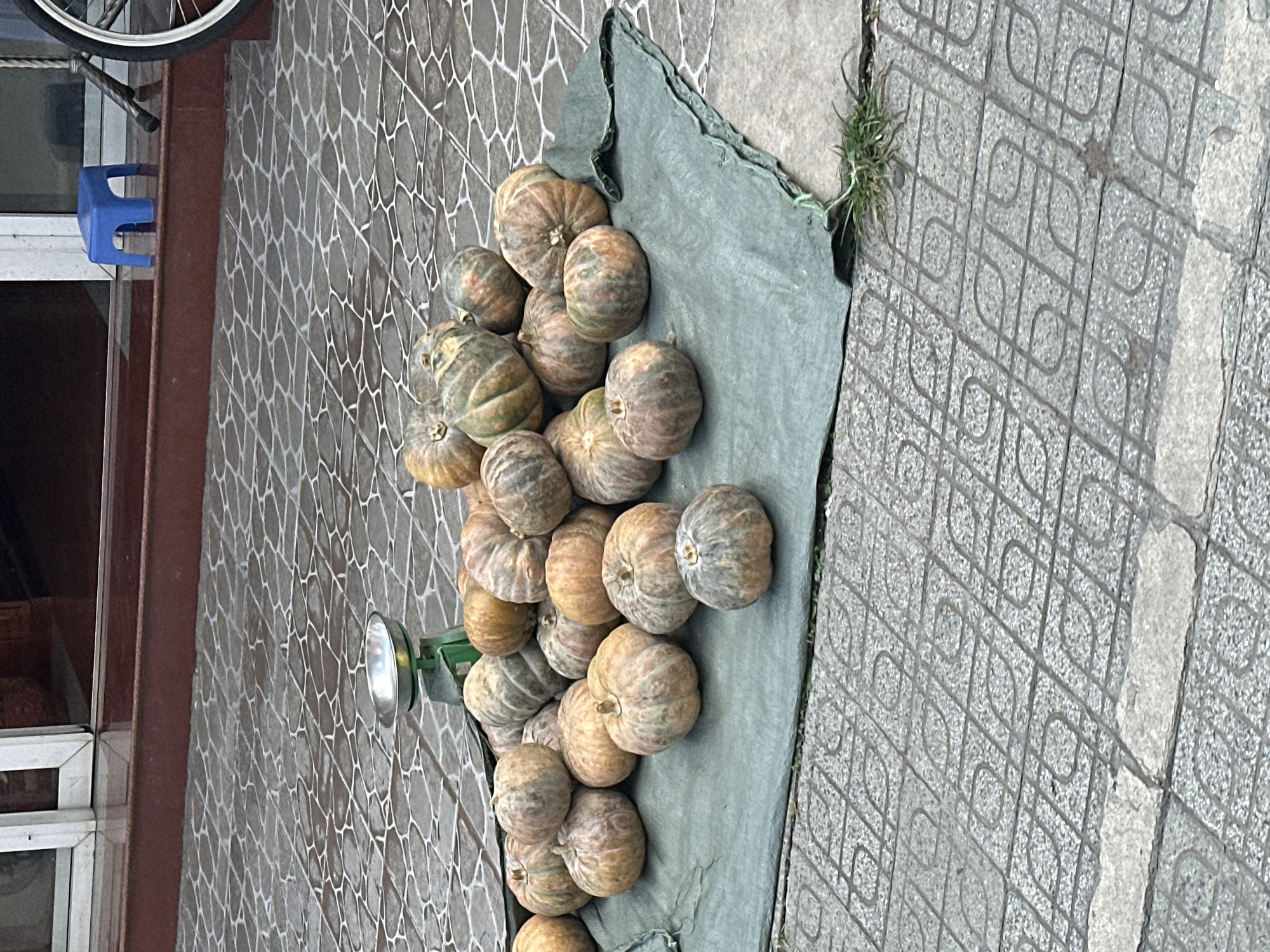 A pile of gourds sits on a green tarp spread on a patterned tile sidewalk. A small, green weighing scale with a silver pan is visible behind the gourds. In the background, a blue plastic stool and a bicycle wheel are visible. The scene appears to be in Da Lat, Vietnam, as indicated by the presence of the blue plastic stool commonly used by street vendors in the region.