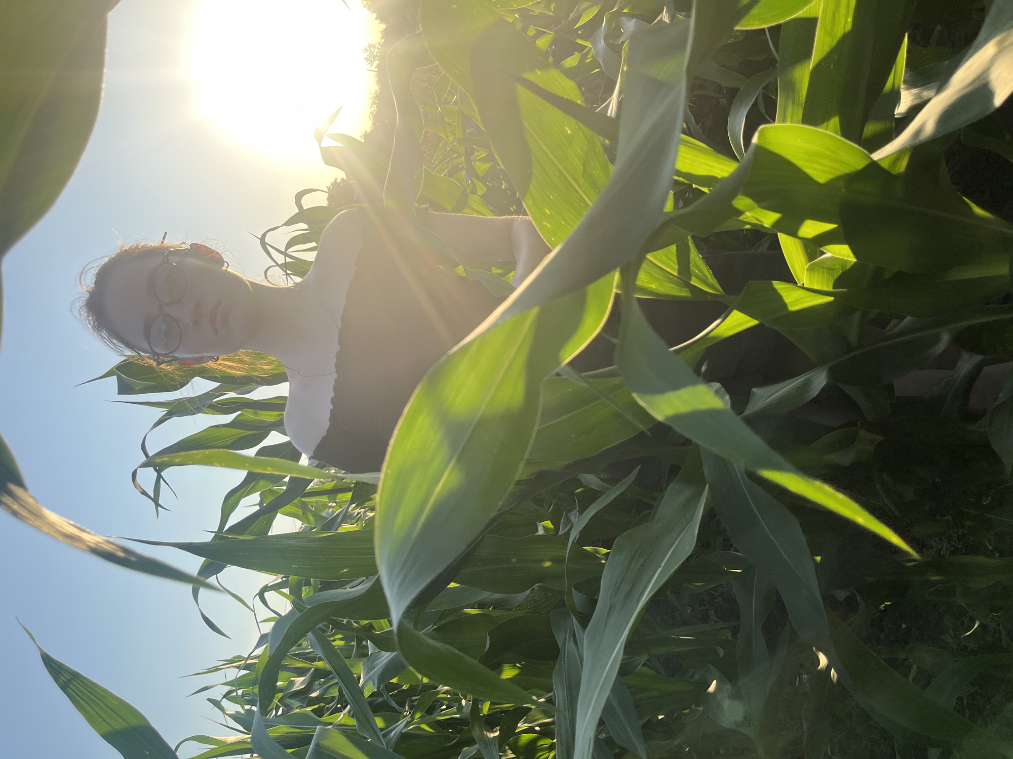 A young person, wearing glasses and a dark off-the-shoulder top, stands in a cornfield at sunset. The sun is bright and positioned to the right of the person's head, casting a warm glow and lens flare across the scene. The corn stalks are tall and green, with some leaves in the foreground obscuring parts of the person and the field. The sky is clear and blue.