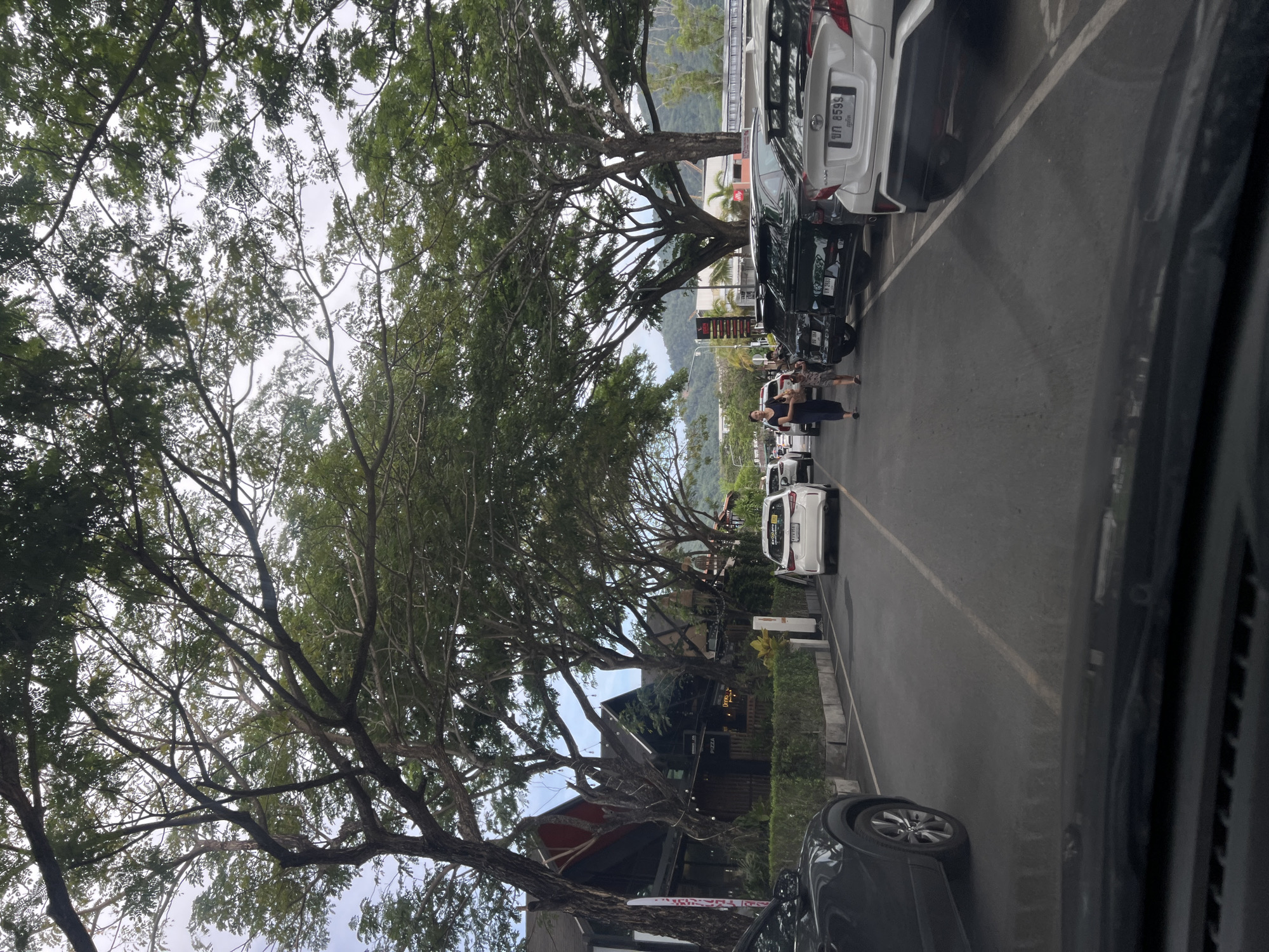 A street in Unknown, Unknown is crowded with parked cars on both sides. Two pedestrians are walking along the side of the street. Large trees with dense foliage overhang the street, casting shadows on the road. Buildings and mountains can be seen in the background. The photograph appears to have been taken from inside a car.