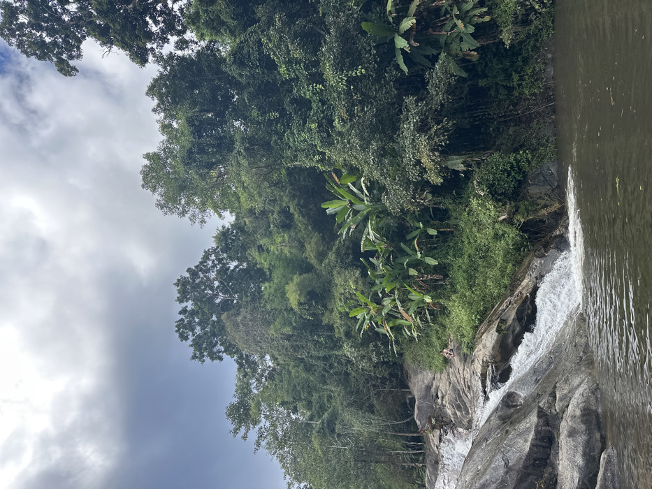 Lush green foliage densely covers the hillside. A rocky waterfall cascades down the cliff, its white water contrasting with the dark rock. A person is perched on the rocks near the falls. The sky is overcast with grey clouds peeking through the trees. Water reflects the sky. Banana trees and other tropical plants are visible among the broader forest greenery.
