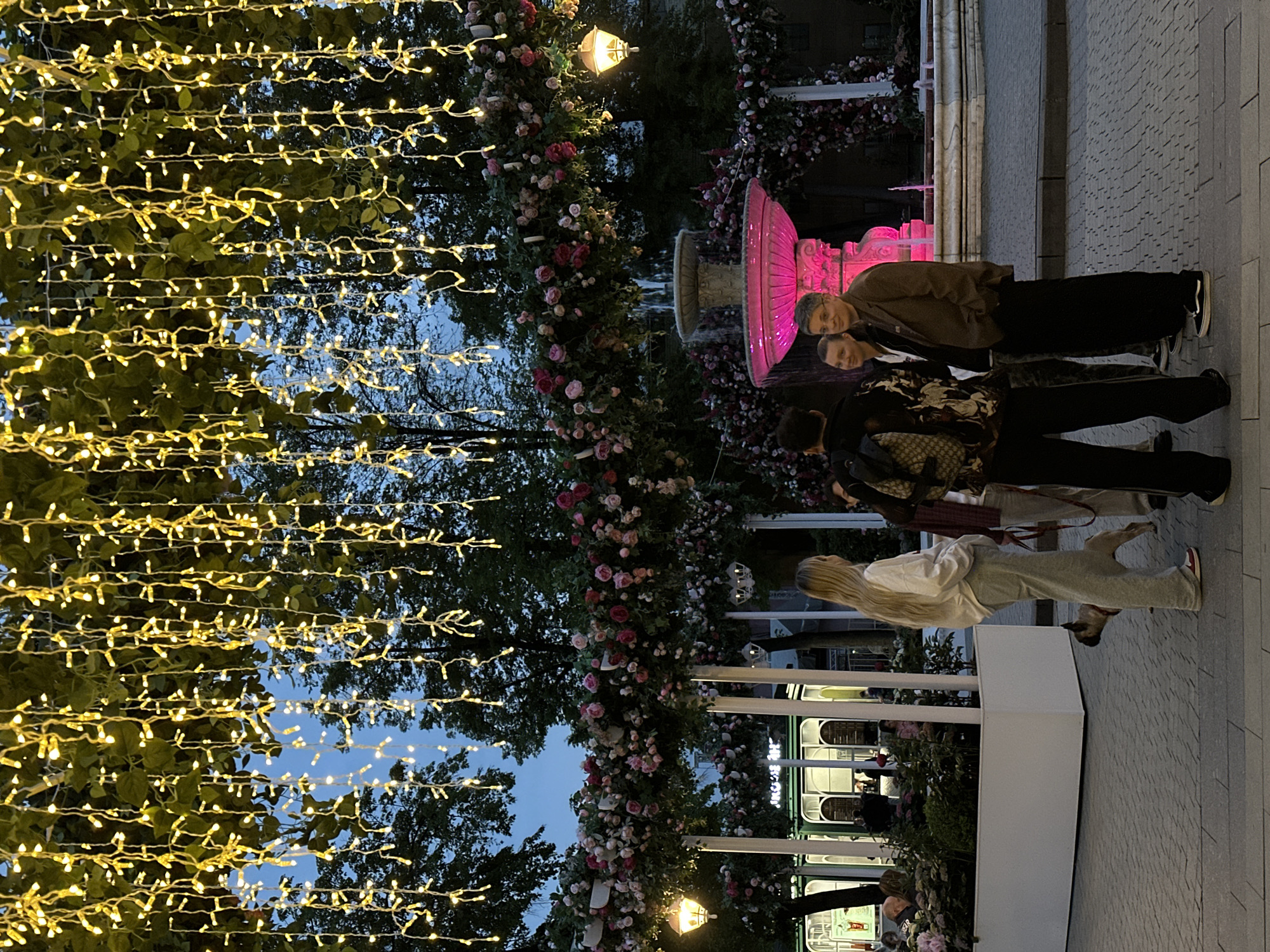 Captured at night in an unknown location, the image depicts a street scene illuminated by strings of festive yellow lights hanging from trees, creating a warm ambiance. A flower-adorned archway serves as a focal point, leading the eye towards a pink-lit fountain. Several individuals stand nearby, appearing to admire the spectacle. One group of people is clustered near the fountain, while another person walks a dog along the sidewalk. The surroundings include architectural elements, suggesting a commercial or public space within an urban setting.