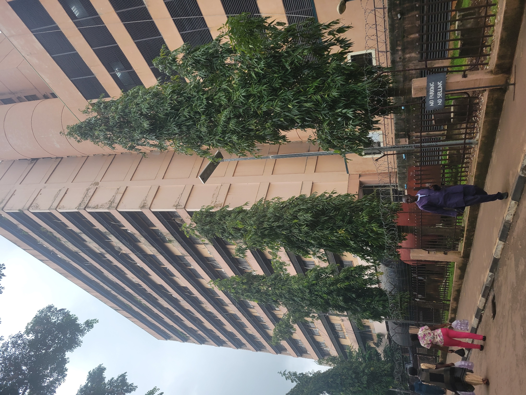 The image shows a tall, multi-story building with numerous windows and balconies, likely an office building or residential block, located in Abuja, Nigeria. In the foreground, a paved walkway runs alongside a black metal fence topped with barbed wire. Several people are walking on the walkway. To the left, two women are walking away from the camera, one carrying shopping bags. To the right, a man in a dark blue traditional outfit is walking towards the camera. A signpost with black lettering on a white background reads "NO PARKING, NO SELLING". Tall, slender trees with dense green foliage are planted in front of the building and along the fence line. The sky is overcast and light.