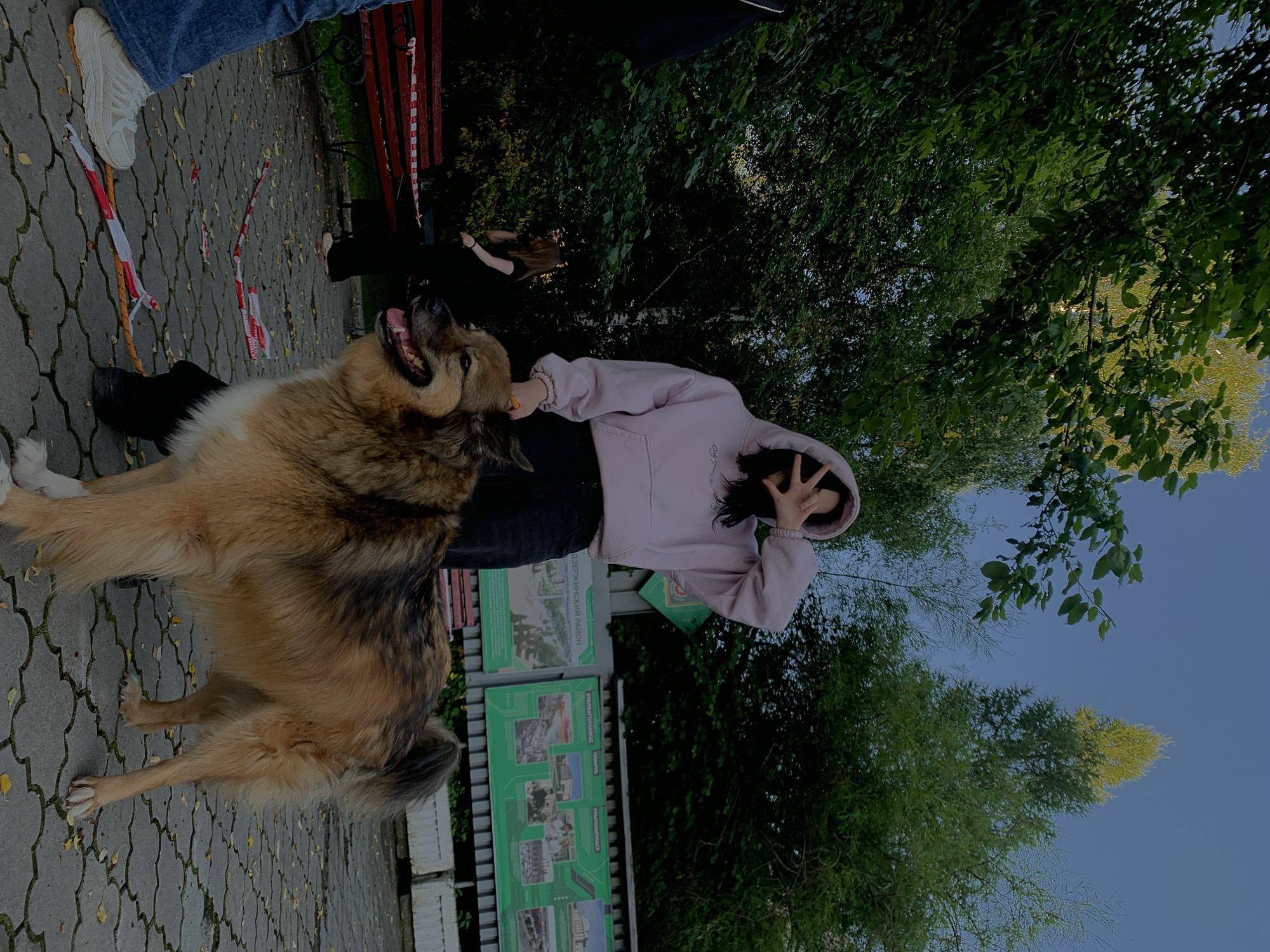 In Nizhny Tagil, Russia, on a paved walkway bordered by trees and a green informational display, a young woman in a pink hoodie and dark pants stands near a large, shaggy dog. The woman partially covers her face with her hand, making a peace sign. The dog, a mixed breed with brown and black fur, looks directly at the camera with its mouth open, panting. Another person, partially visible on the left, is wearing a black top and jeans. In the background, a red bench is visible, along with red and white caution tape on the ground. The sky above is a clear blue.