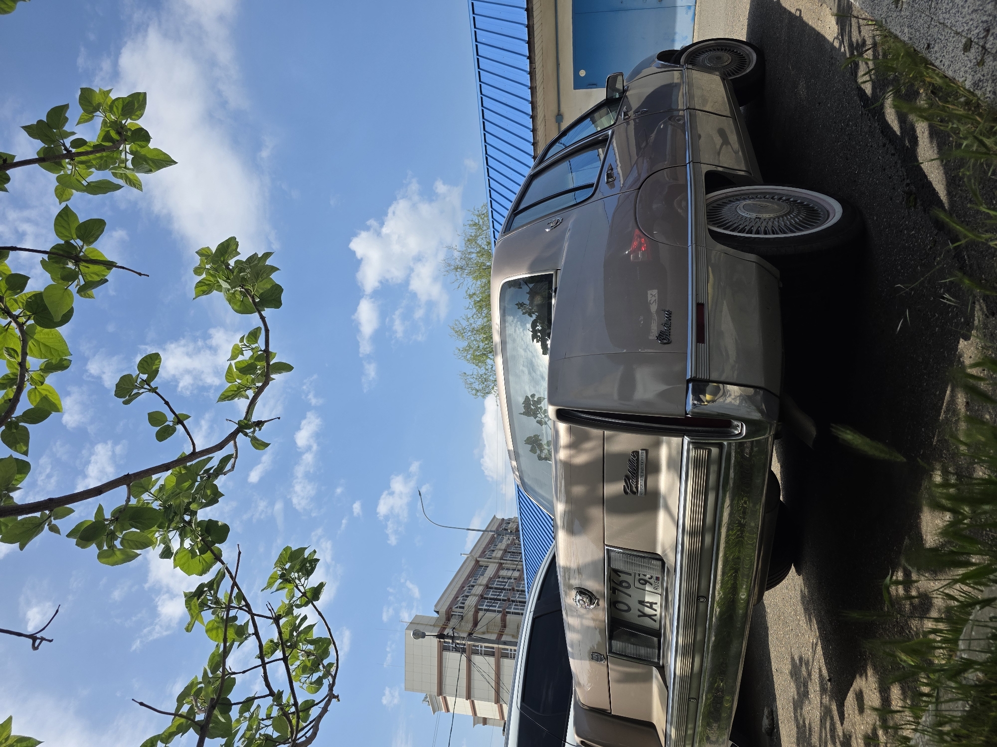 The image shows a beige Cadillac parked on a street in Krasnodar, Russia. The license plate reads "O 761 XA 93 RUS." A building is visible in the background. The sky is blue with scattered clouds. A tree branch with green leaves is in the foreground.