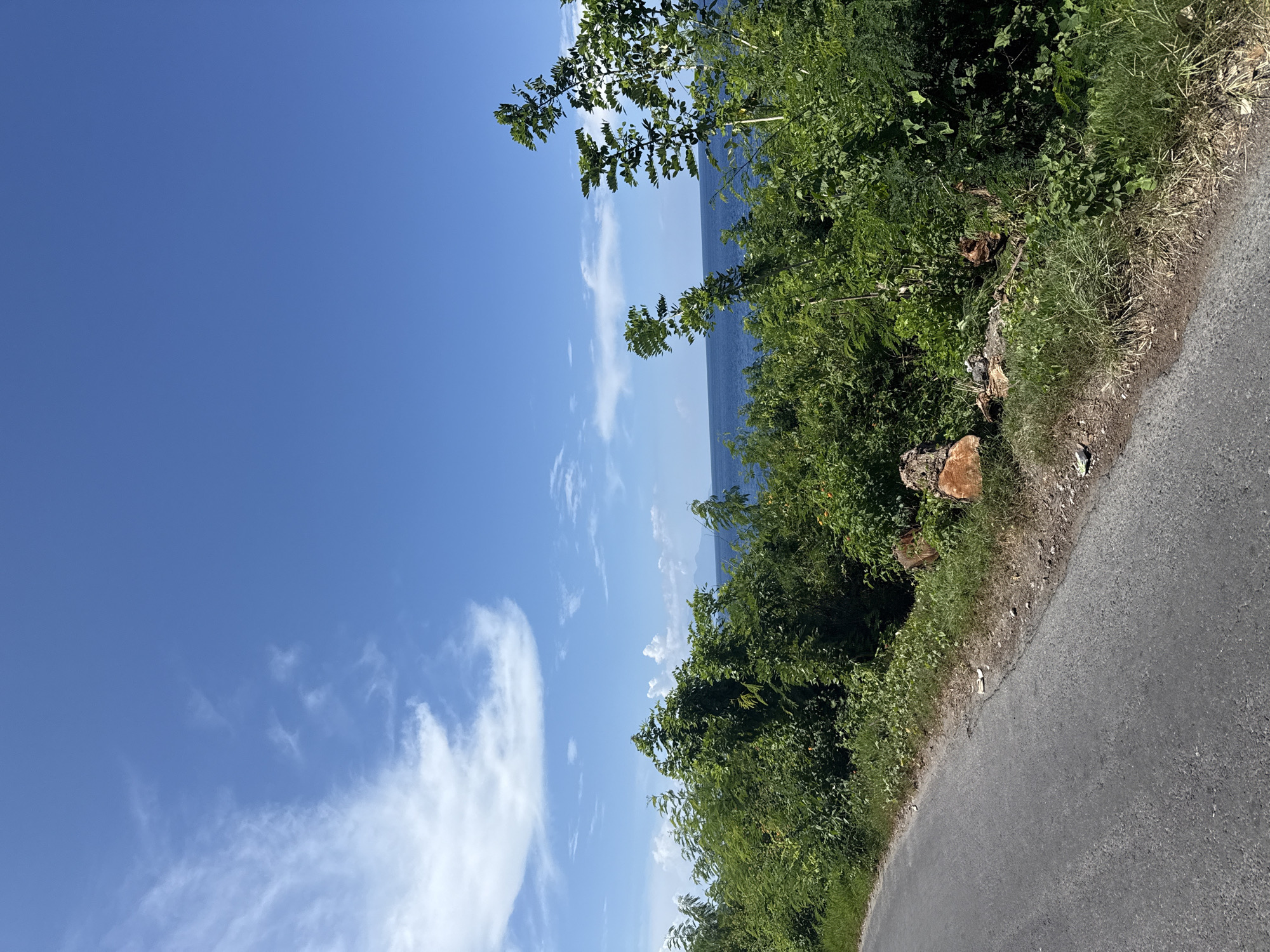 The image shows a roadside scene in Batununggal, Indonesia. A paved road runs along the right side of the frame, bordered by dense green vegetation. The left side of the image displays a clear blue sky with scattered wispy clouds. In the distance, a body of water is visible, likely the ocean. The vegetation consists of trees and shrubs, with some recently cut tree trunks visible near the road.
