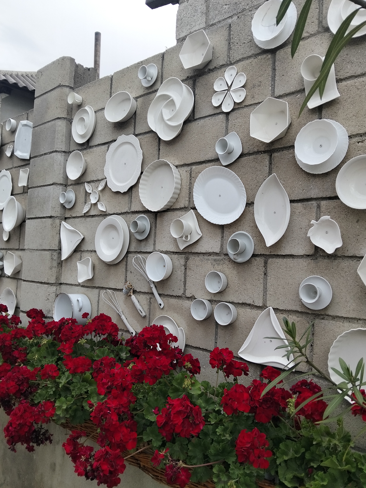 The image displays a visually interesting outdoor scene where various white ceramic objects, resembling plates, bowls, cups, and decorative pieces, are mounted on a rough, grey cinder block wall. These objects are arranged in an artistic manner, creating a textured and decorative facade. The ceramics range in size and shape, with some appearing to be functional tableware, while others are more abstract or sculptural.
Below the wall, a vibrant planter box overflows with lush green foliage and numerous bright red geranium flowers, adding a strong pop of color against the muted tones of the wall and ceramics. A thin branch with green leaves extends from the upper right side of the frame, partially obscuring some of the wall decorations. The sky above appears overcast, suggesting a cloudy day.
The overall impression is one of an outdoor art installation or a unique garden decoration, possibly in a residential or public space. The location context indicates this scene is in Peresecina, Moldova. There is no visible text in the image. The composition and display of the ceramics suggest a deliberate artistic arrangement, rather than a functional display of kitchenware.