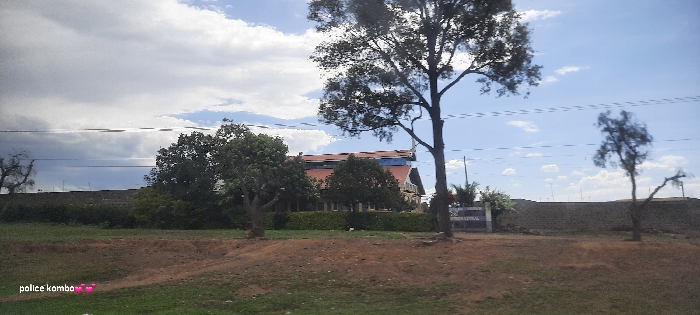 A building with a red roof and gray walls is situated behind a green hedge and several trees. A gray stone wall extends to the sides, interrupted by a gate on the right. Power lines stretch horizontally across the sky, which is filled with clouds. A dirt bank with some green vegetation forms the foreground. Trees frame the view on the left and right.