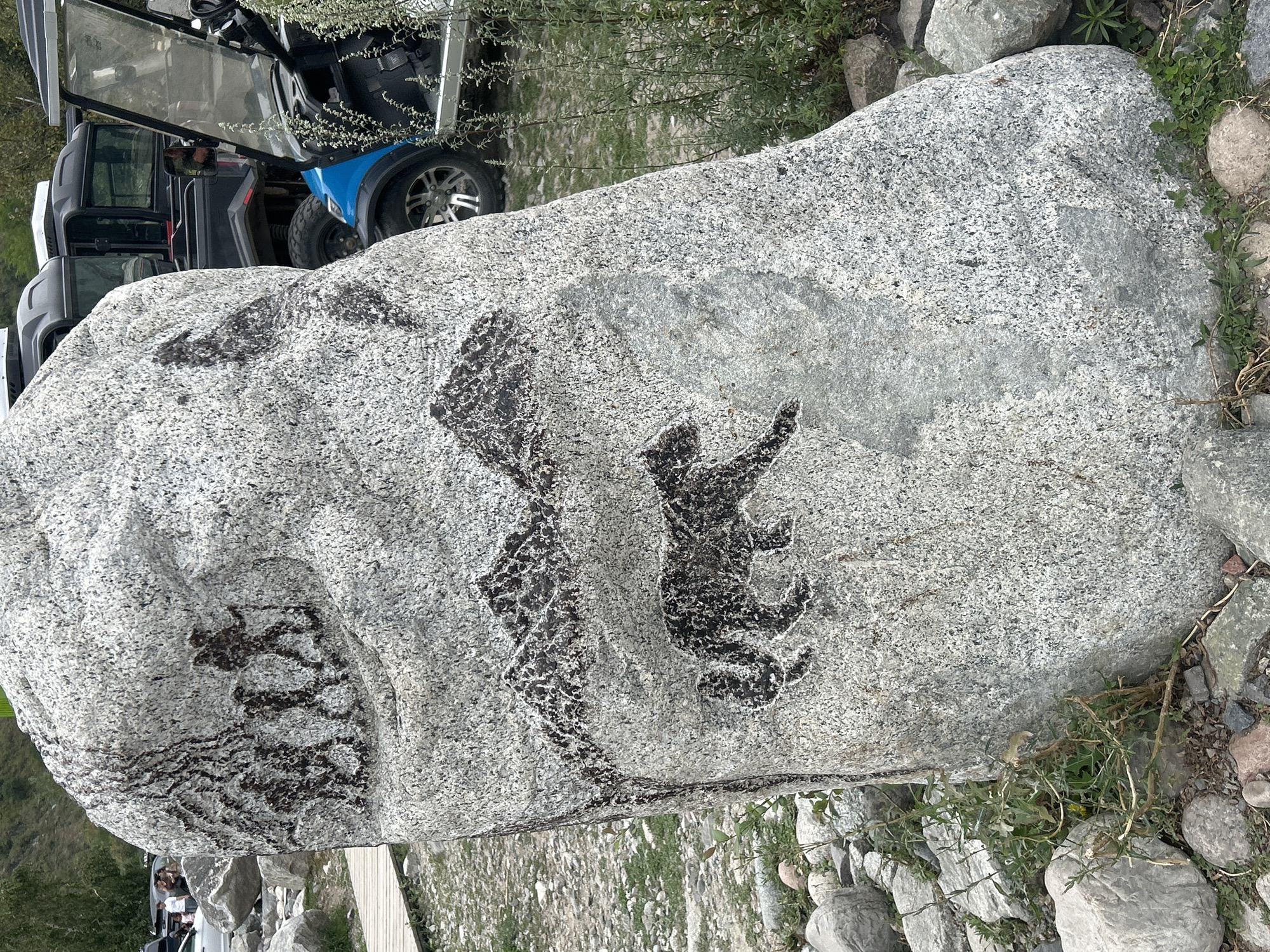 In Almaty, Kazakhstan, a large, light-colored granite boulder stands outdoors, possibly in a park or natural area, as evidenced by the surrounding gravel, grass, and smaller rocks. The boulder features a dark, etched depiction of a historical scene. At the top, four silhouetted figures, appearing to be humans, are walking from left to right, carrying what look like staffs or spears, suggesting a prehistoric or ancient hunting party. Below them, a stylized representation of mountains stretches across the boulder. In the lower portion, a dark, silhouetted depiction of a feline, possibly a leopard or snow leopard, is shown in profile, walking from left to right, its tail extended. The background reveals a paved path, parked vehicles including what appears to be a golf cart and a utility vehicle, and some distant trees and foliage. The lighting suggests it is daytime.