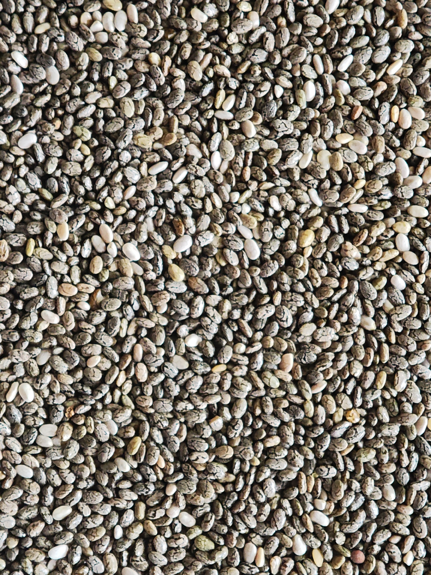 This is a close-up, top-down, full-frame shot of a pile of chia seeds. The seeds are small, oval-shaped, and exhibit a mottled pattern of gray, white, and black. There are no people, no scene, no setting, no activity or event taking place, no time of day, no weather, no location cues, and no visible text. The image is purely a textural representation of the chia seeds.