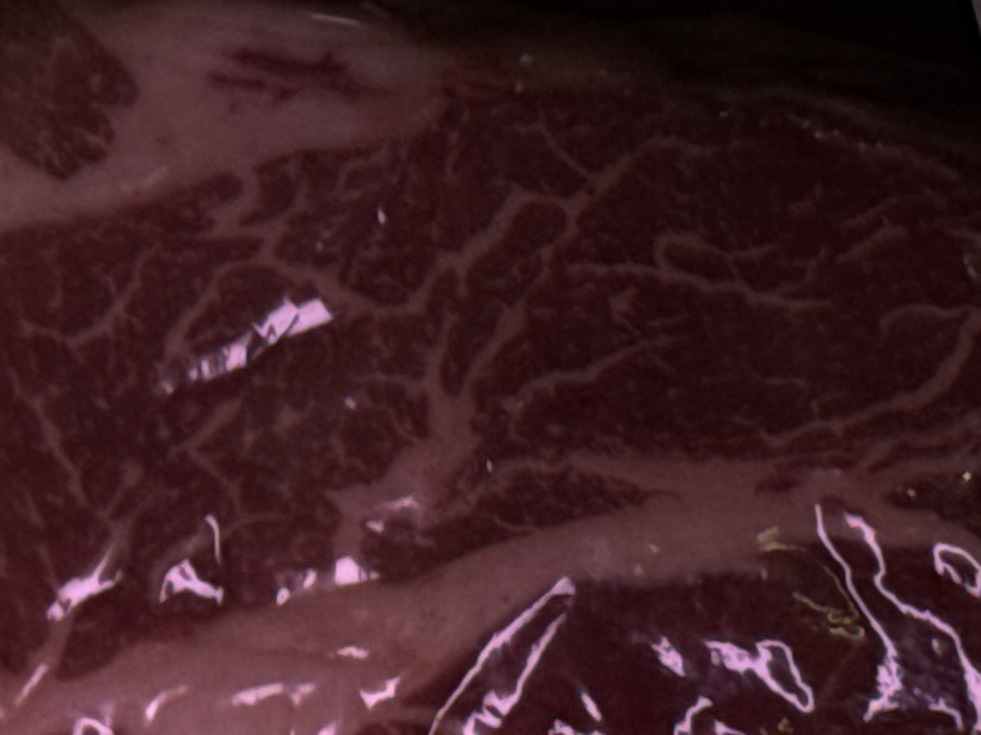 The image is a close-up, macro photograph of raw meat, likely beef, exhibiting marbling. The lighting is artificial, creating bright highlights and a pinkish hue. The texture of the meat, with its distinct veins of fat and muscle fibers, is the primary focus. No city or environmental details are discernible.