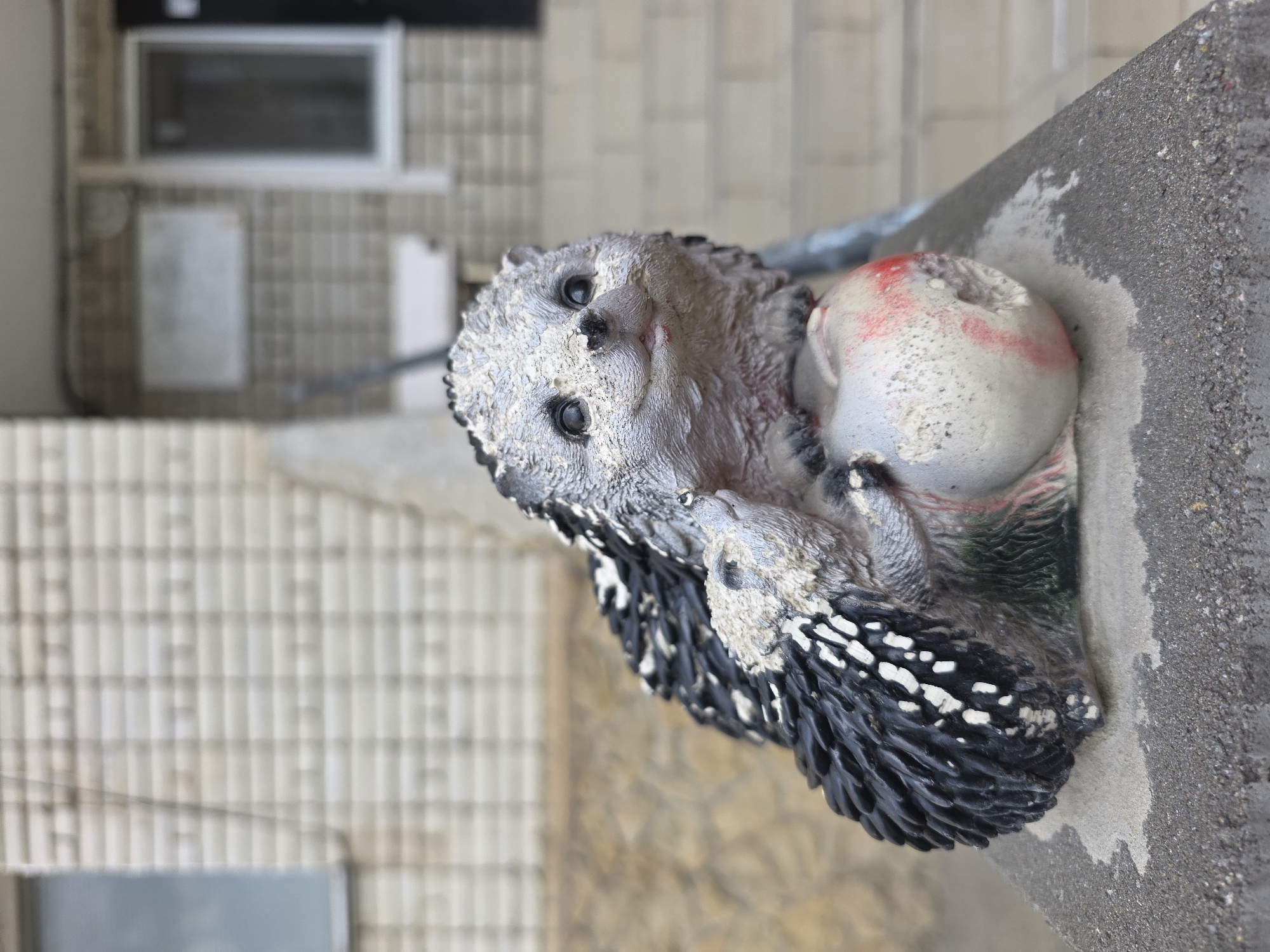 A close-up, rotated view of a decorative plaster hedgehog figure holding a plaster apple. The hedgehog is painted with grey fur, a black nose, and black and white spines. The apple is white with a red tint on its side. The figure is placed on a rough grey concrete surface. The background shows a building with tiled walls and a window. There is no information available to confirm that the image was taken in Krasnodar, Russia.