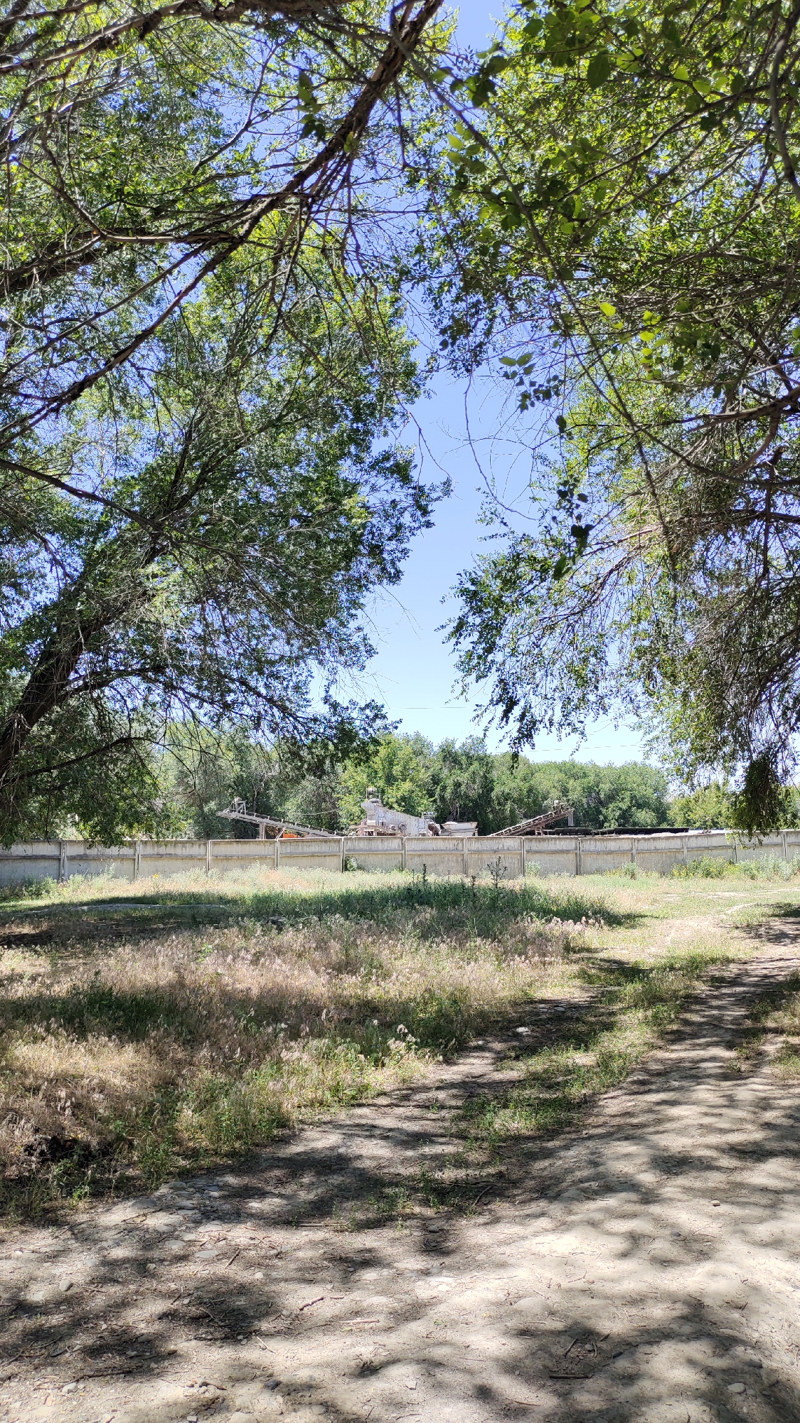 A vertical, full outdoor shot depicts a natural and industrial landscape under a clear blue sky. The foreground is a dirt path dappled with shadows from overhead trees, suggesting a sunny day. Beyond the path is an area of dry, overgrown grass.
A long, continuous concrete wall stretches across the midground, separating the foreground from the background. Behind the wall, several pieces of industrial machinery, including conveyors and what appear to be processing units, are visible. These structures suggest an industrial or construction site.
The background is dominated by a dense line of green trees, creating a natural backdrop to the industrial elements. The overall impression is one of an area where nature and industry coexist. This scene is located in the city of Taldykorgan, Kazakhstan.