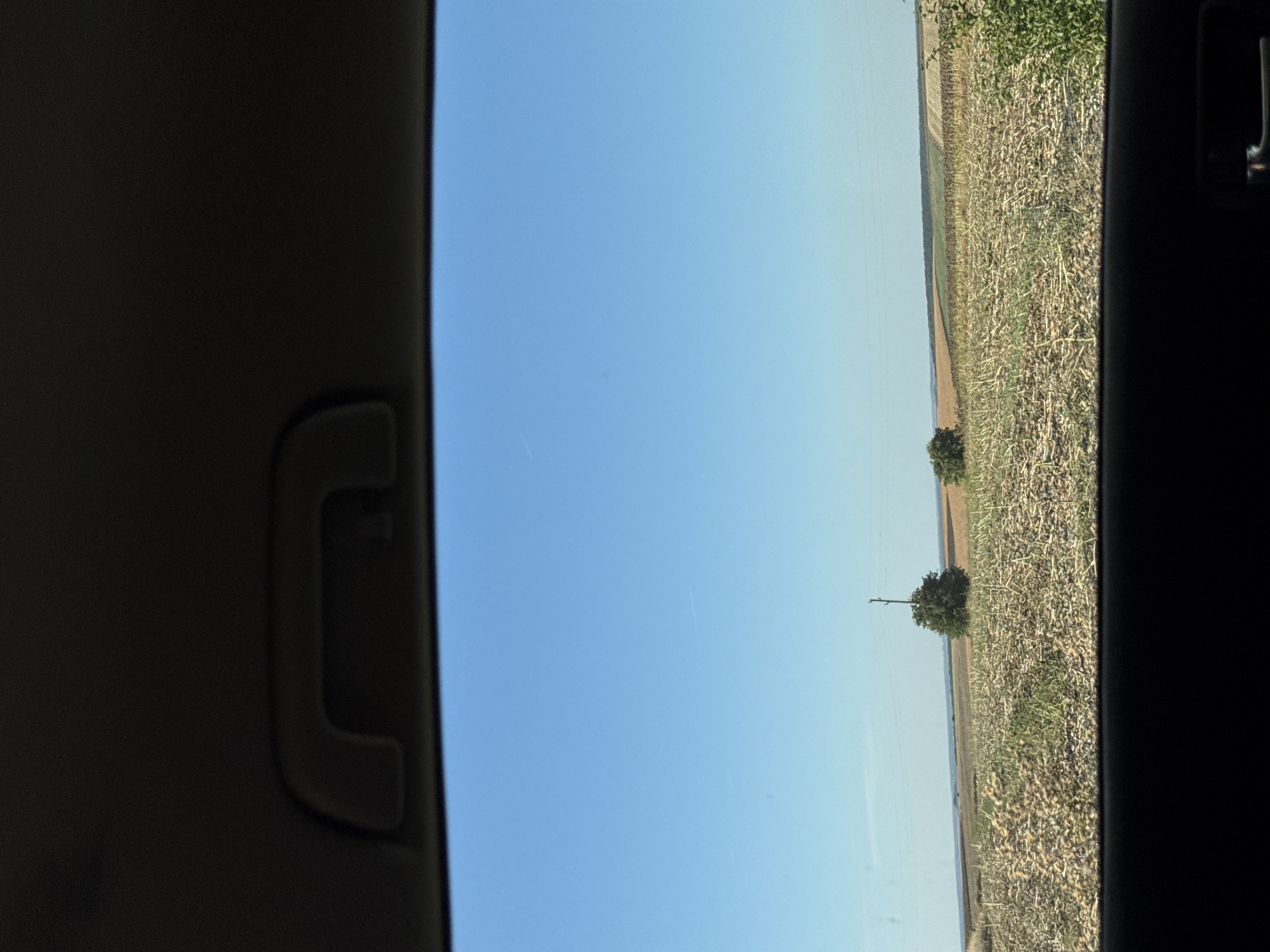 The image, taken from inside a vehicle, shows a clear blue sky above a vast, harvested agricultural field. The field is covered in stubble and dry stalks, with patches of green growth. In the mid-ground, two trees are visible, one of which has a utility pole behind it. The horizon features a line of trees and distant rolling hills. The foreground of the image is dominated by the dark interior of the car, including a handle on the roof and a portion of the dashboard. The scene appears to be in Veselets, Bulgaria, on a sunny day.