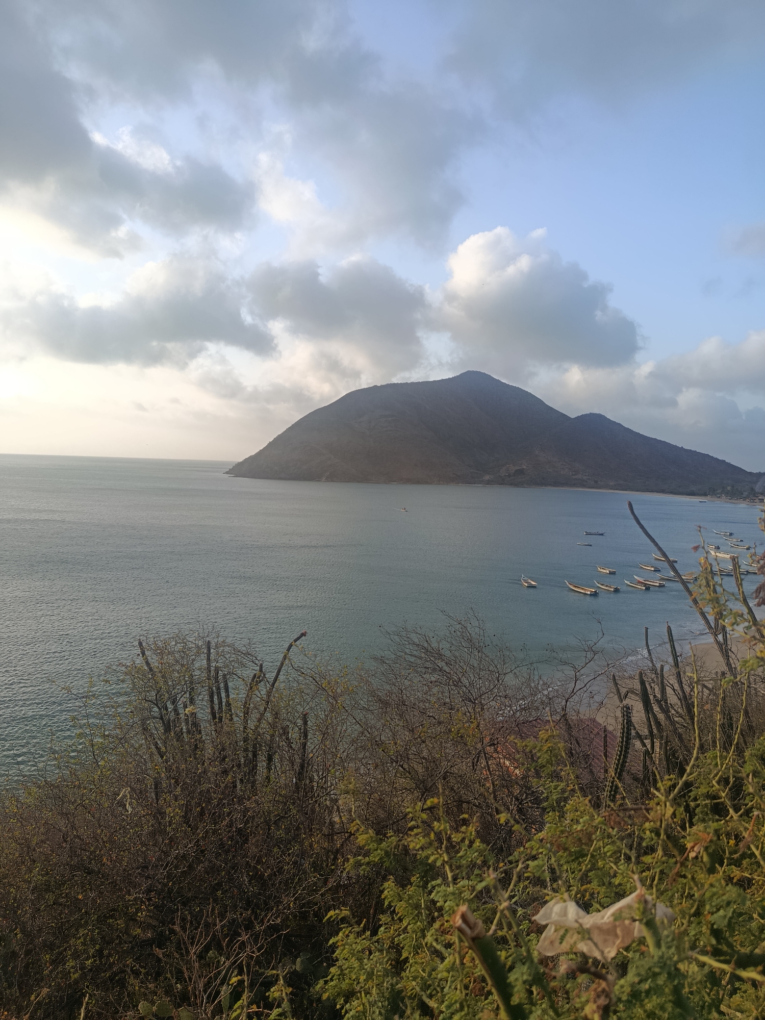 The image captures a bay in Juan Griego, Venezuela, dominated by a large mountain peninsula extending into the water. The sky is a mix of blue and cloudy patches. Numerous small fishing boats are scattered in the bay. The foreground features a hillside with sparse vegetation, including cacti and shrubs.