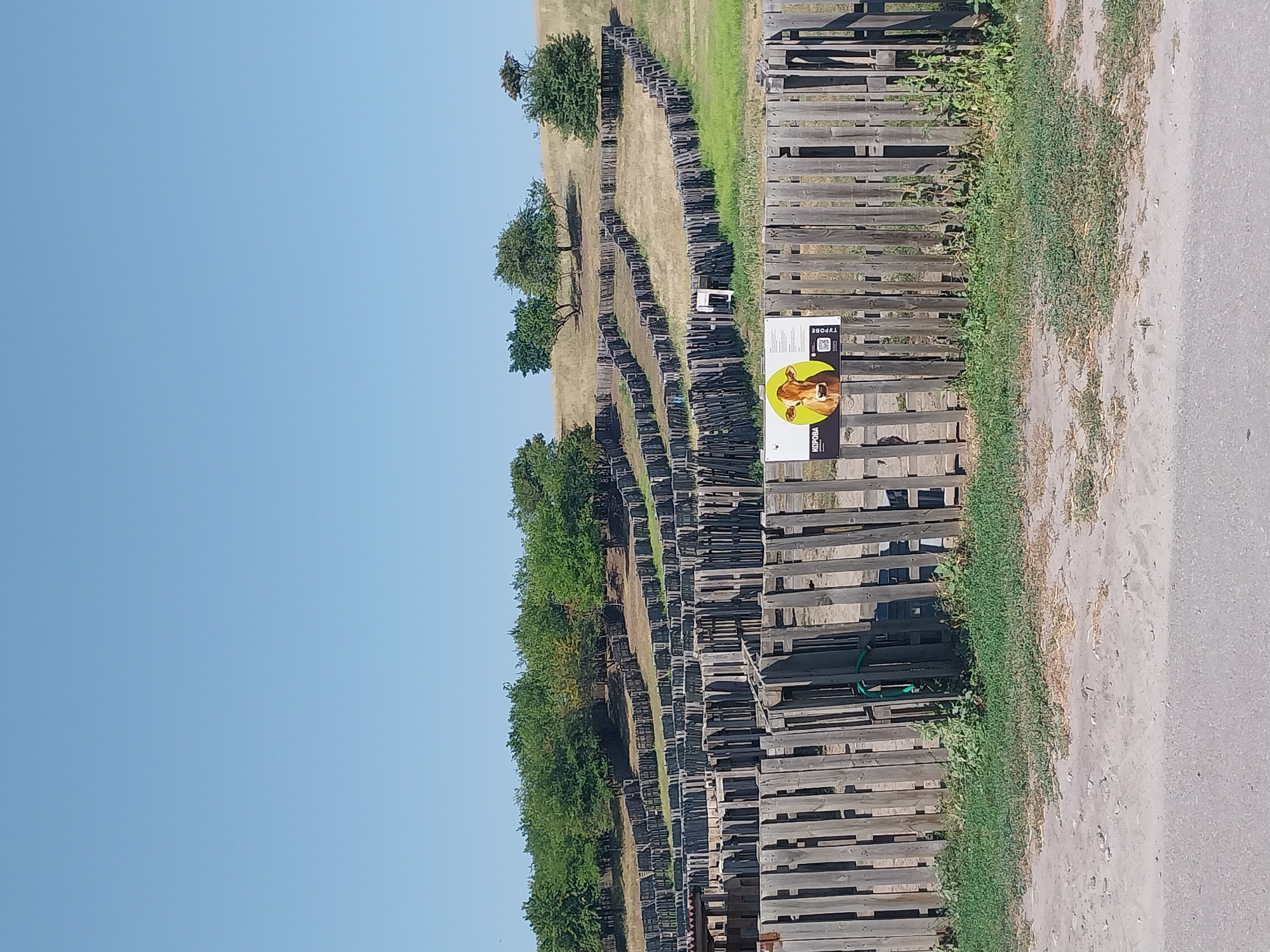 The image depicts an outdoor scene at an animal enclosure, possibly a zoo or farm, located in the city of Turove, Ukraine. The foreground is dominated by a rustic wooden fence made of vertical planks. To the left, a portion of a building or structure is visible, constructed with similar wooden materials. Green grass and some weeds grow along the base of the fence. A dirt path or road runs along the very bottom of the frame.
Beyond the fence, a complex arrangement of wooden enclosures or pens extends into the middle ground. These enclosures are built with vertical wooden posts and horizontal planks, forming a maze-like structure. The terrain slopes upwards behind the enclosures, covered in dry grass and scattered trees. In the middle ground, a sign is attached to the fence. The sign features a circular image of a cow's head with the word "КОРОВА" (Cow) above it and "TYPOBE" (Turove) below it. The sign also contains what appears to be a QR code.
The background of the image consists of a clear, light blue sky and a line of dense green trees on a gentle slope. The overall impression is of a sunny day in a rural or semi-rural setting dedicated to animal husbandry or display.