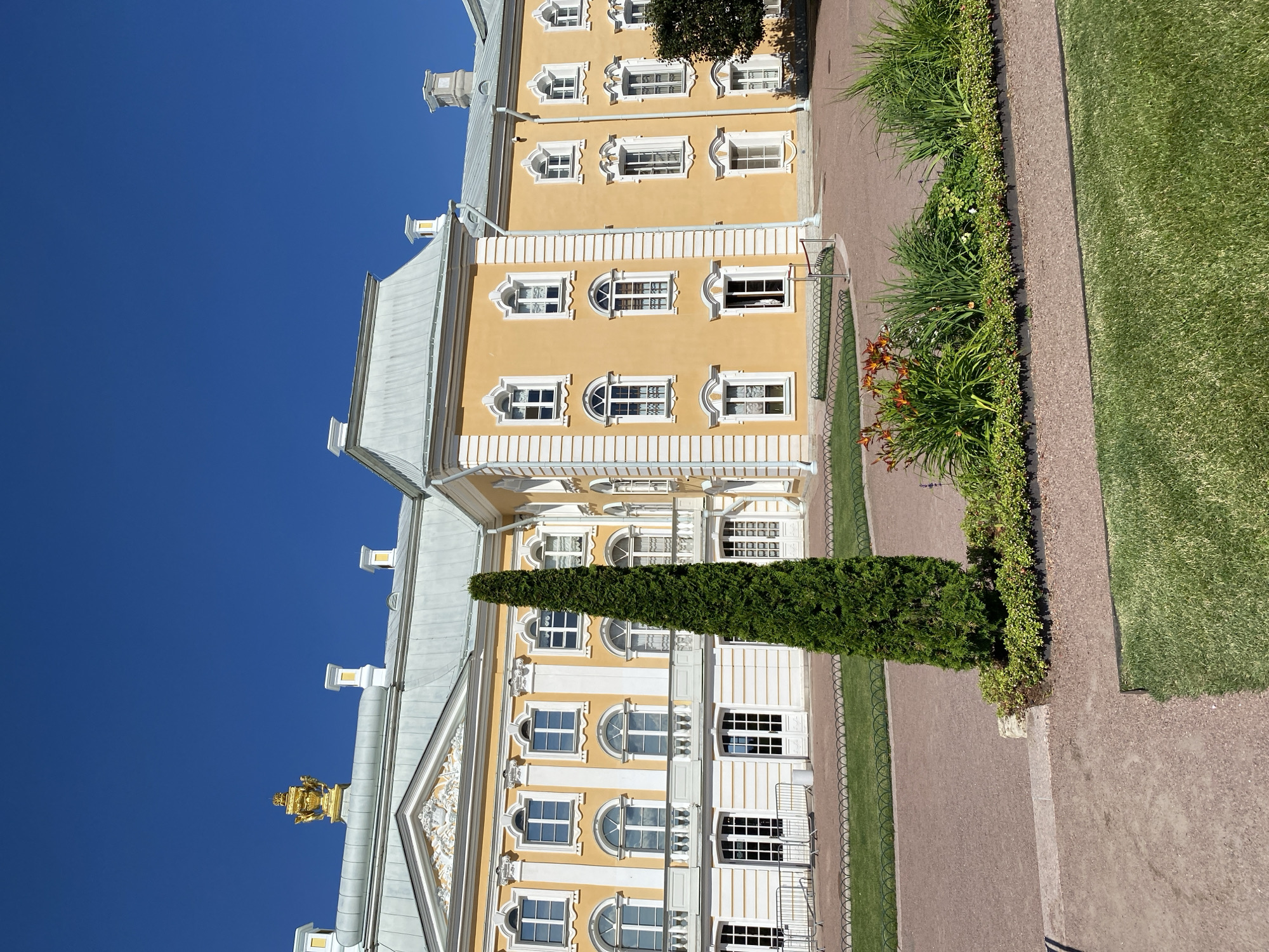 The image captures the exterior of a grand yellow Baroque-style palace in Peterhof, Russia, under a clear blue sky. The palace features a white-trimmed facade with numerous arched windows and balconies. A tall, slender evergreen tree stands prominently in the foreground, alongside a meticulously maintained flower bed with orange lilies and lush green foliage. The grounds include gravel pathways and manicured lawns, bordered by a decorative metal fence. The architecture suggests a historical and well-preserved setting, likely a tourist attraction or a royal residence within the Peterhof estate.
