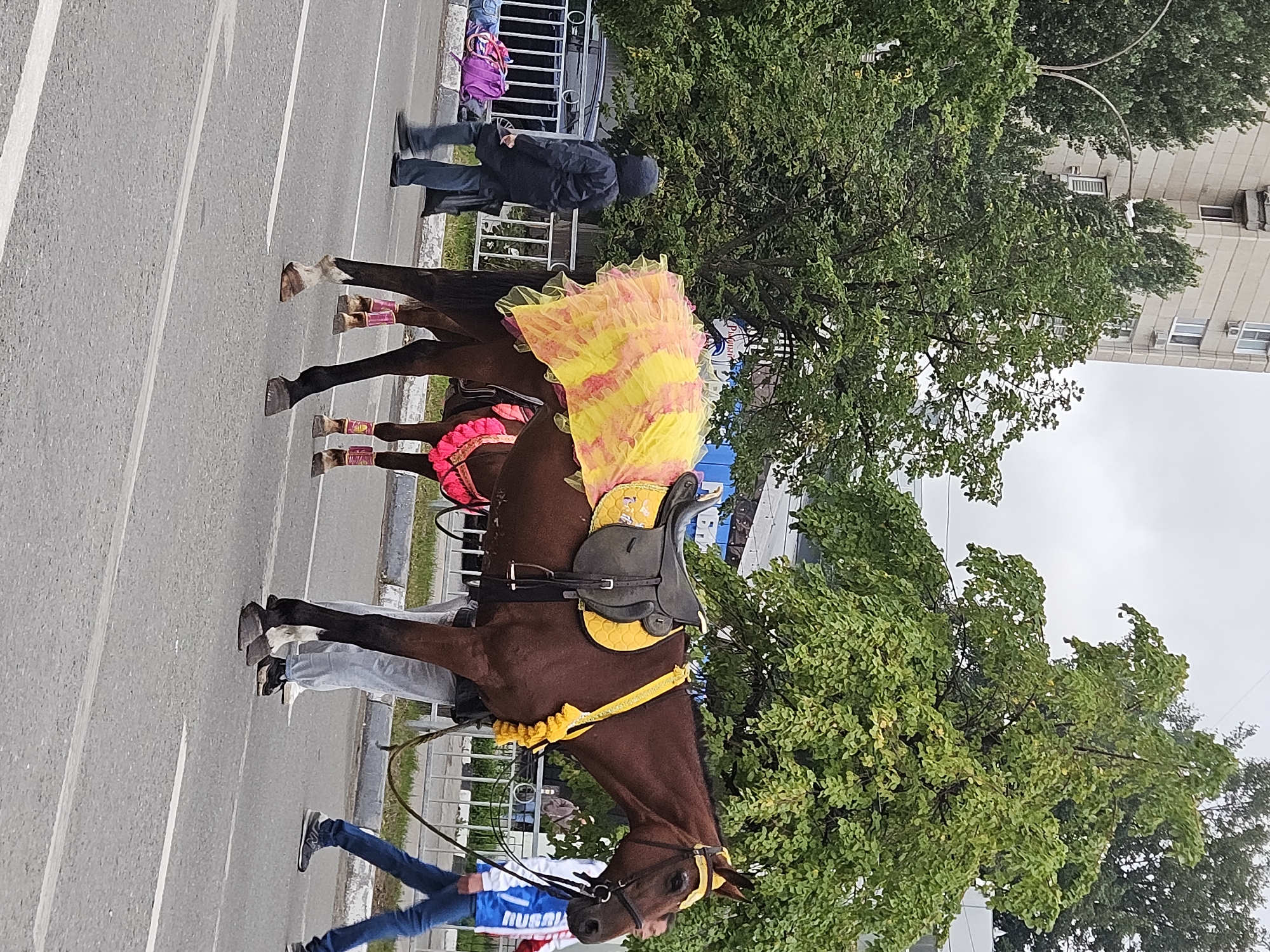 A brown horse is adorned with a voluminous, frilly tutu skirt in shades of yellow and pink, and a decorative yellow fringe is draped over its back, attached to a saddle. The horse stands on an asphalt road, its hooves are visible, with one leg showing white markings. Two other horses, also decorated with pink fringes, are partially visible behind it. A person in a dark hooded jacket walks in front of the horse, carrying a pink bag. In the background, a metal fence separates the road from a grassy area and trees, with a building and a cloudy sky further beyond. The scene appears to be a parade or procession in the city of Ulyanovsk, Russia.