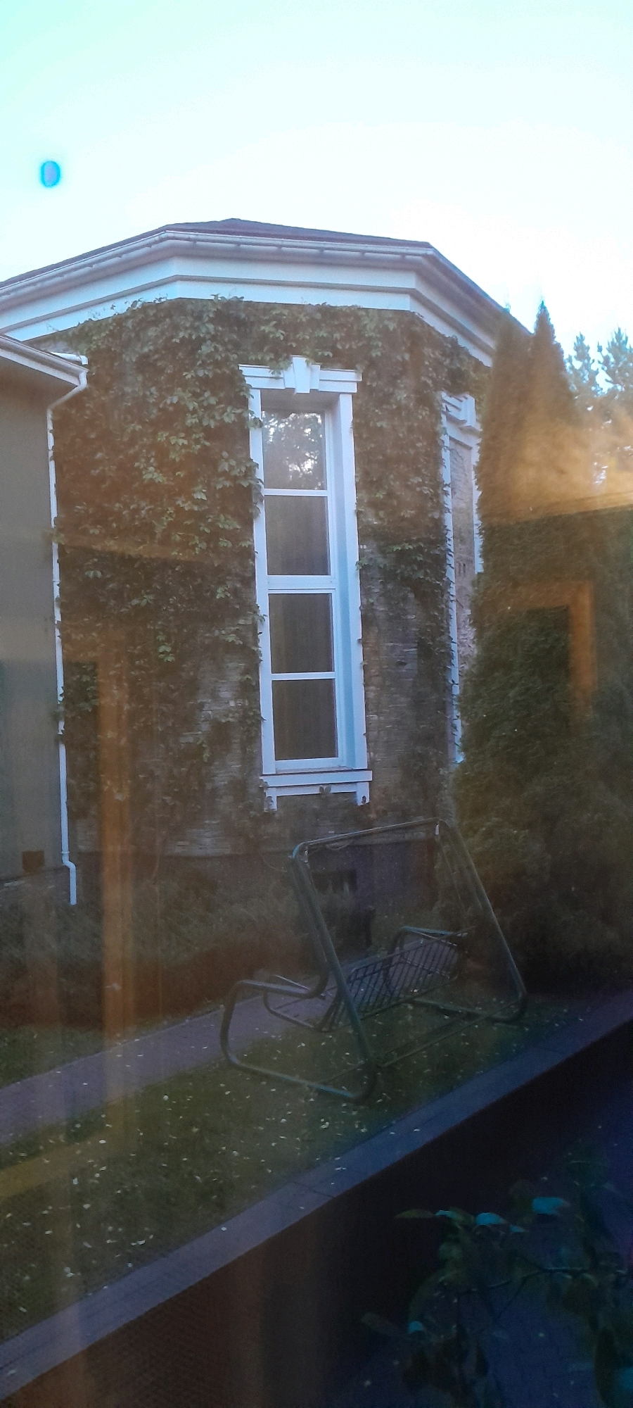 The image shows a close-up of a house facade covered in ivy, with a tall, narrow window. In front of the house, a green metal garden swing is visible on a grassy lawn. The swing appears empty. The scene is set in the city of Aleksandrovka, Russia.