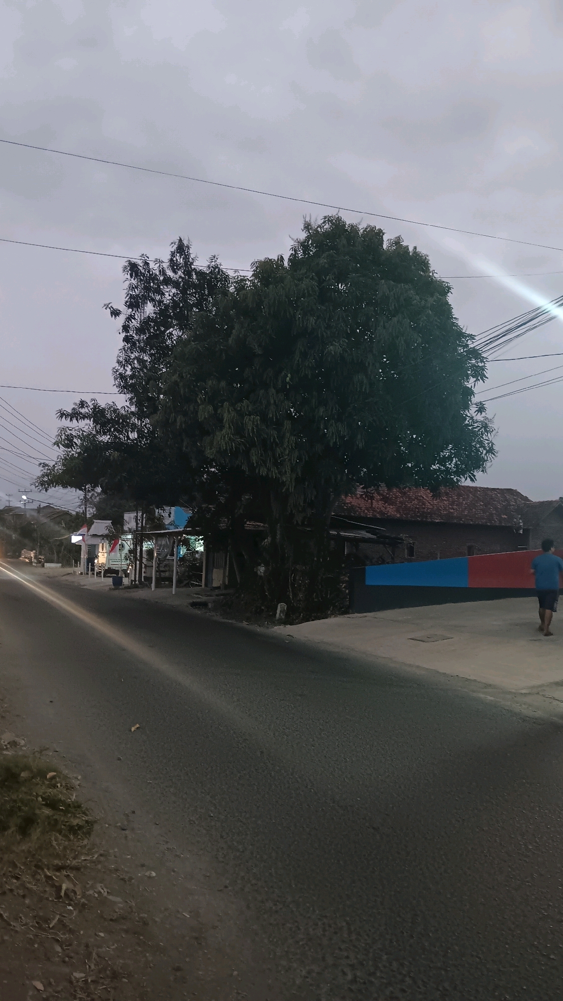 The image captures a street scene in Pangebatan, Indonesia, at dusk. A large, mature tree dominates the center of the frame, its dark foliage contrasting with the overcast sky. To the right of the tree, a building with a red-tiled roof is visible, and a low wall painted with horizontal stripes of blue and red runs along the sidewalk. A single individual, wearing a blue shirt and dark shorts, walks away from the camera on the sidewalk. The street in the foreground is asphalt and appears to be wet or reflective. Several utility poles and power lines are strung across the sky. On the left side of the street, a small structure with lights illuminated is situated, possibly a roadside stall or shop. The overall impression is one of a quiet, possibly rural, street at the end of the day.