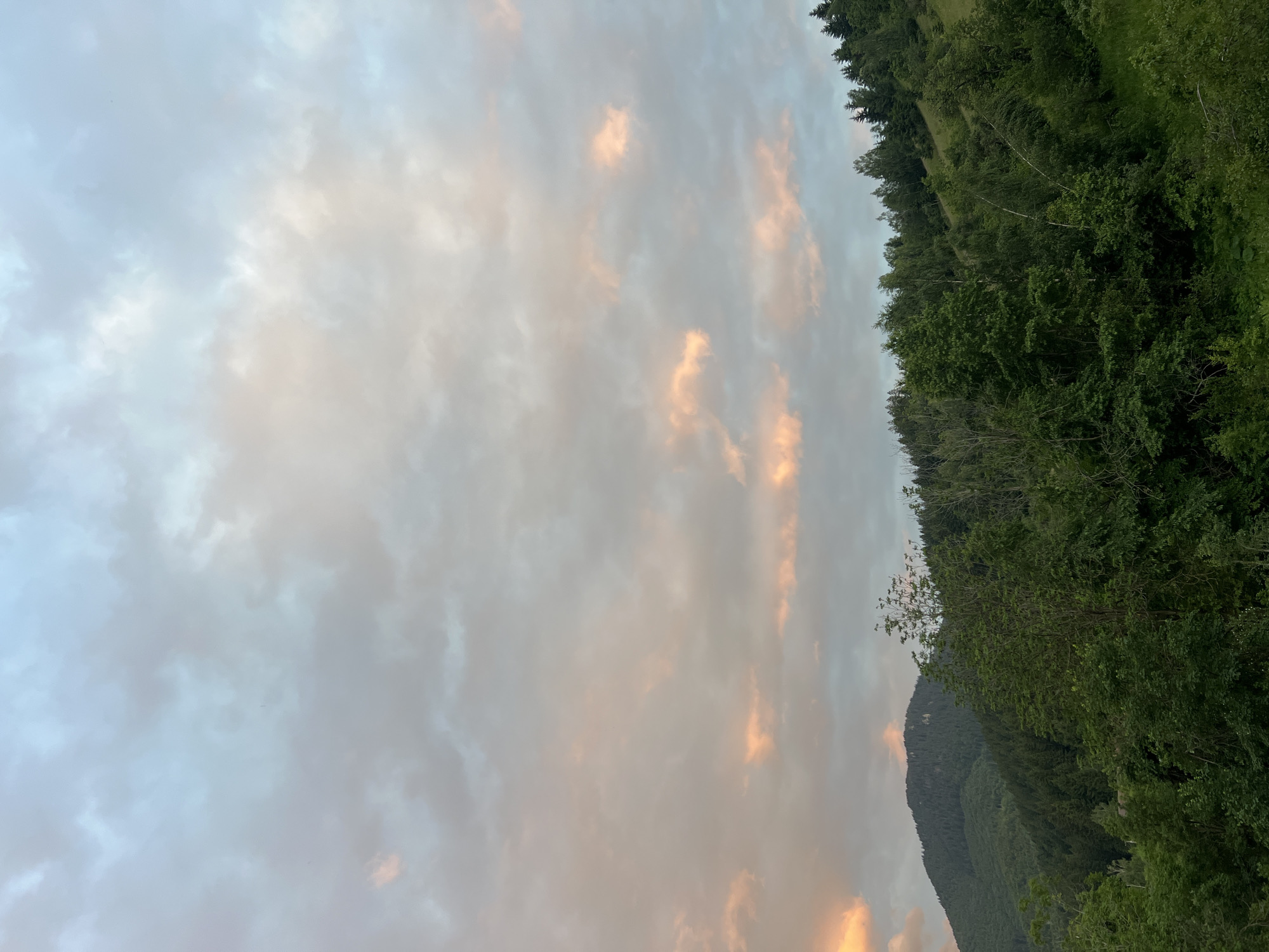 A low-angle, full outdoor shot captures a pastoral scene under a twilight sky. The sky is dominated by a gradient of cool blues and grays, interspersed with soft, warm pinks from the setting sun. Below the sky, a dense forest blankets the rolling hills. The trees are a vibrant green, with a mix of deciduous and coniferous species creating a textured canopy. The foreground is filled with the lush foliage of smaller trees and undergrowth, suggesting a natural, untamed landscape. The scene is tranquil and devoid of any human presence or man-made structures. The location is identified as Unknown, Unknown.