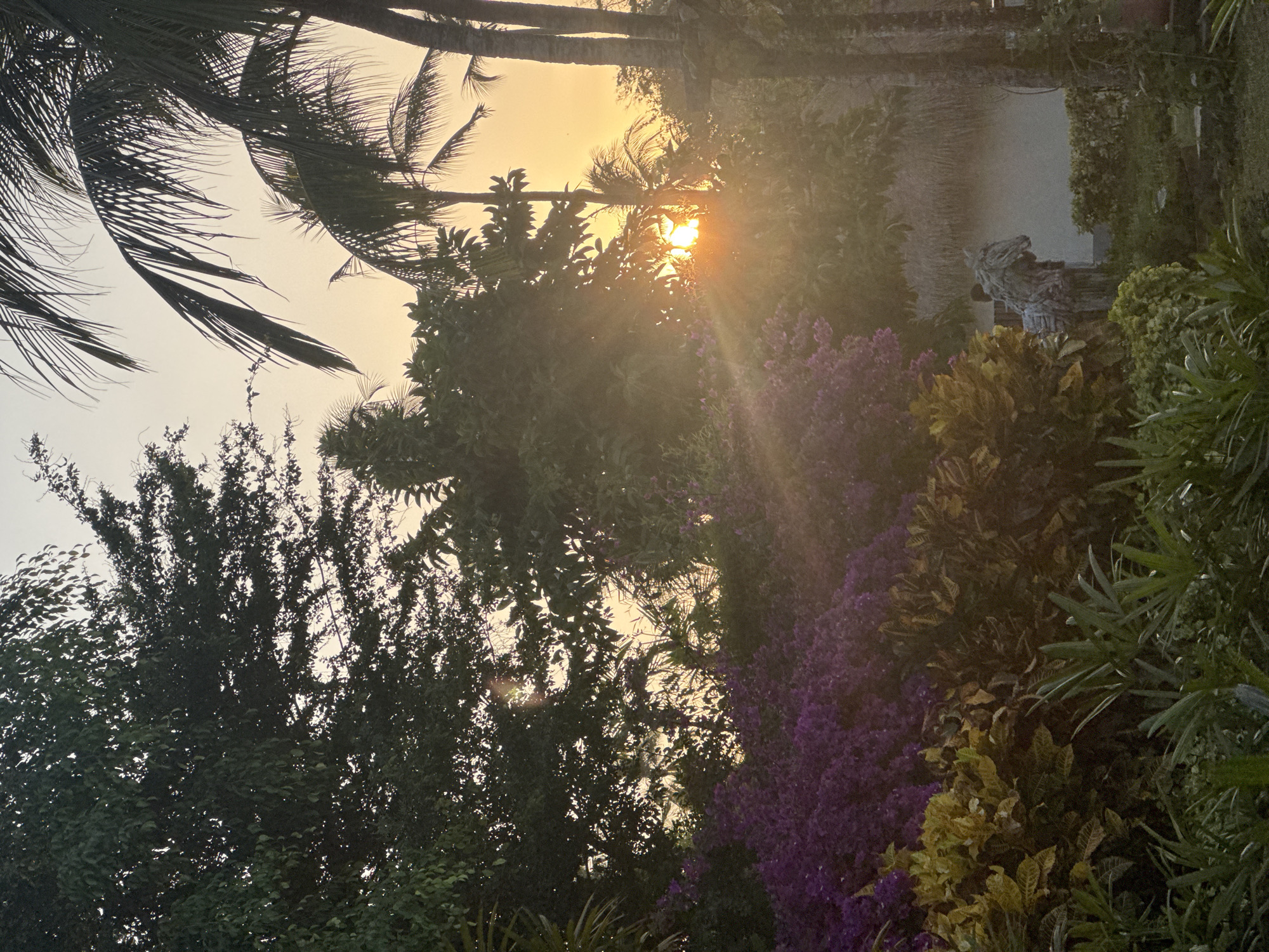The image captures a serene garden scene during golden hour, likely in Kuta Selatan, Indonesia, evidenced by the tropical flora and the warm, diffused sunlight. In the foreground, lush green foliage and vibrant purple bougainvillea create a natural border. To the right, a stone sculpture of a horse stands partially obscured by the plants, hinting at a curated outdoor space. Behind the vegetation, a thatched-roof structure and a calm body of water are visible, suggesting a resort or private villa setting. Palm trees frame the upper right quadrant of the image, their fronds silhouetted against the soft orange glow of the setting sun. The sun itself is visible peeking through the dense canopy of trees, casting rays that create a hazy, dreamlike atmosphere. The overall impression is one of tranquility and tropical beauty.