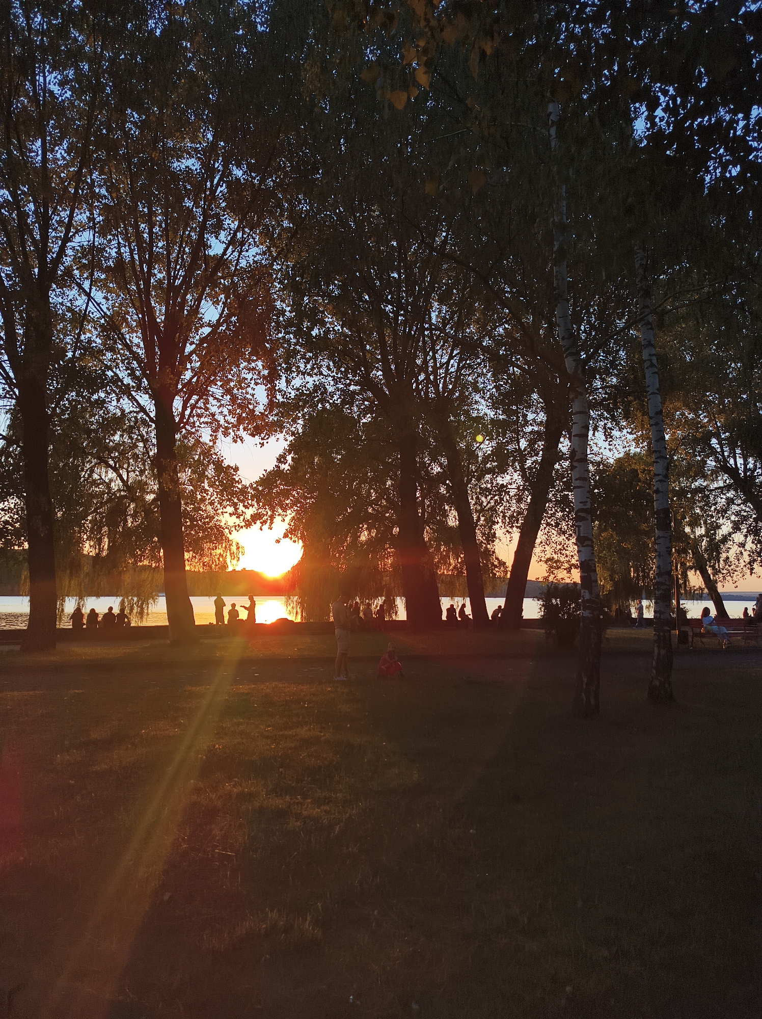 The image captures a sunset scene at Ternopil Lake in Ternopil, Ukraine. Silhouettes of various trees, including birch trees, frame the view of the lake. A group of people are gathered along the shoreline, some sitting and others standing, enjoying the evening. The sun, low on the horizon, casts a warm orange glow across the water and creates sunbeams that illuminate the grassy area in the foreground. The sky transitions from a deep blue at the top to a vibrant orange and yellow near the horizon. The overall atmosphere is peaceful and recreational, indicative of a public park or waterfront area.