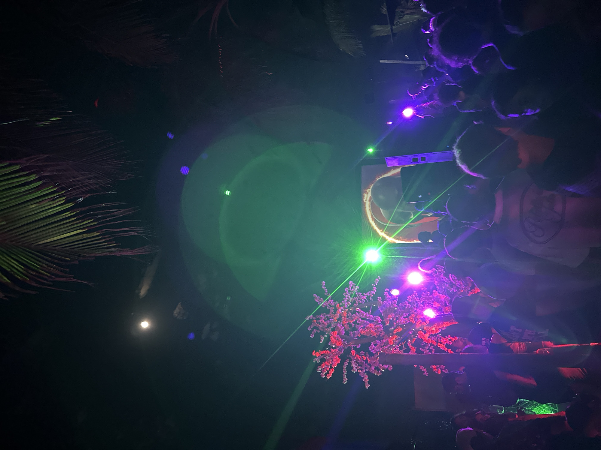 The image depicts a nighttime scene in Brisas de Zicatela, Mexico, likely an outdoor event. Palm trees are visible at the top left of the frame, indicating a tropical environment. A crowd of people is present at the right, silhouetted against stage lighting, predominantly purple and green. A display or decoration resembling a flowering tree is illuminated with red and purple light. A circular light element or screen is present behind the crowd, with green laser lights projecting. The overall environment appears dark, with bright points of light creating lens flares.