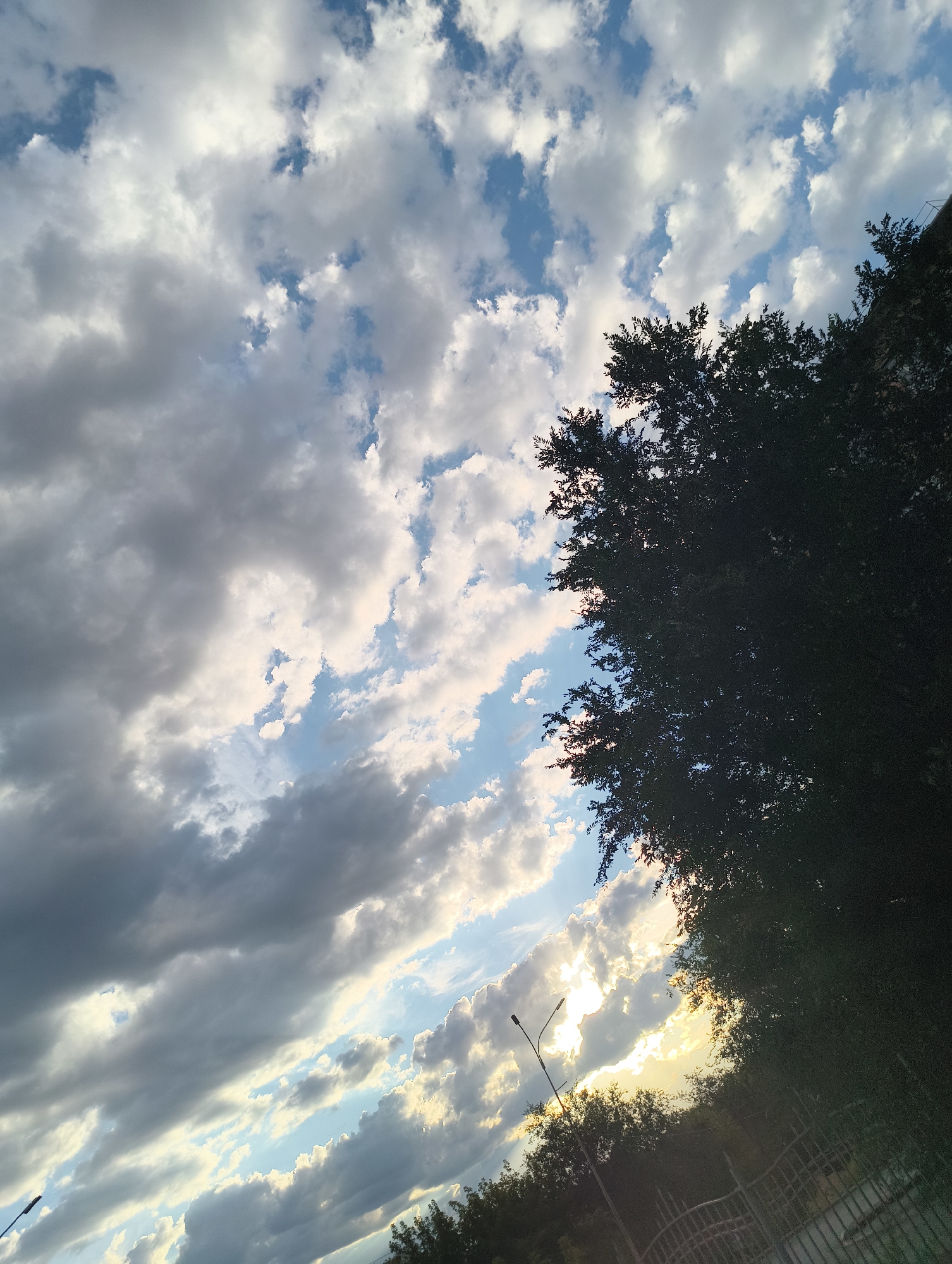 The image captures a dramatic sky filled with a mix of white and gray clouds, with patches of blue sky peeking through. Sunlight filters through some of the clouds, creating areas of bright illumination and casting shadows. In the foreground, the dark silhouette of dense foliage from a large tree dominates the right side of the frame, with smaller trees and a fence visible at the bottom. A streetlamp is also present, extending upwards on the left side of the image, partially obscured by the tree. The scene appears to be outdoors, possibly in a park or residential area, given the presence of the fence and streetlamp. The overall impression is one of natural beauty with hints of urban infrastructure.