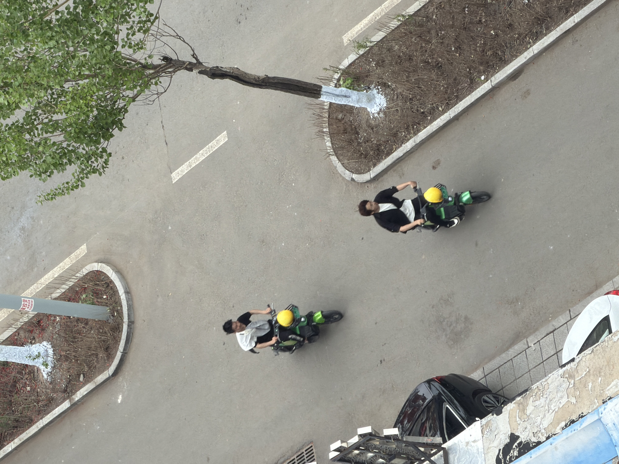 This overhead image depicts an urban street scene in Tongjiang, China, under bright daylight. Two individuals are riding electric scooters on a paved surface, moving in the same direction. Both riders are wearing yellow helmets. The person in the foreground is on a green scooter, dressed in a black top with a white undershirt. The second rider, further along the path, is on a black scooter.
The street features dashed white road markings. A large tree with a full canopy of green leaves extends over the path from the left. Its trunk, along with the base of a light pole in a planter, is painted white. Several concrete-bordered planters containing dry, sparse vegetation are visible along the edges of the paved area.
To the right, a black car is parked, and a portion of a white car is also visible next to a building with a weathered facade. The light pole has a red and white sign attached, but the text is unreadable. The overall setting appears clear and calm, suggesting fair weather. The dry vegetation might indicate a specific season like late autumn, winter, or early spring.