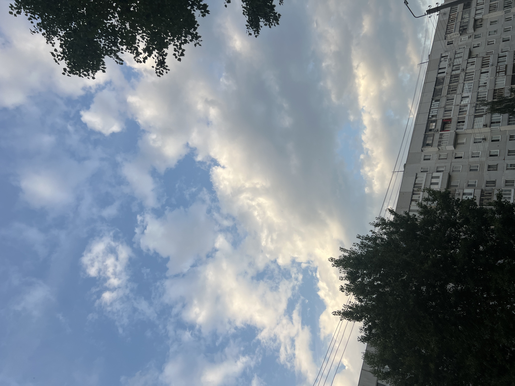 The image depicts a cloudy sky with patches of blue over a multi-story apartment building. On the left side of the frame, a large, dark green tree partially obscures the building. Power lines are visible stretched across the sky above the tree and the building. The apartment building appears to be made of concrete and has numerous windows, some with balconies. A street lamp is visible on the right side of the building. There are no people or discernible actions taking place in the image. The scene is consistent with an urban environment in Ulyanovsk, Russia.