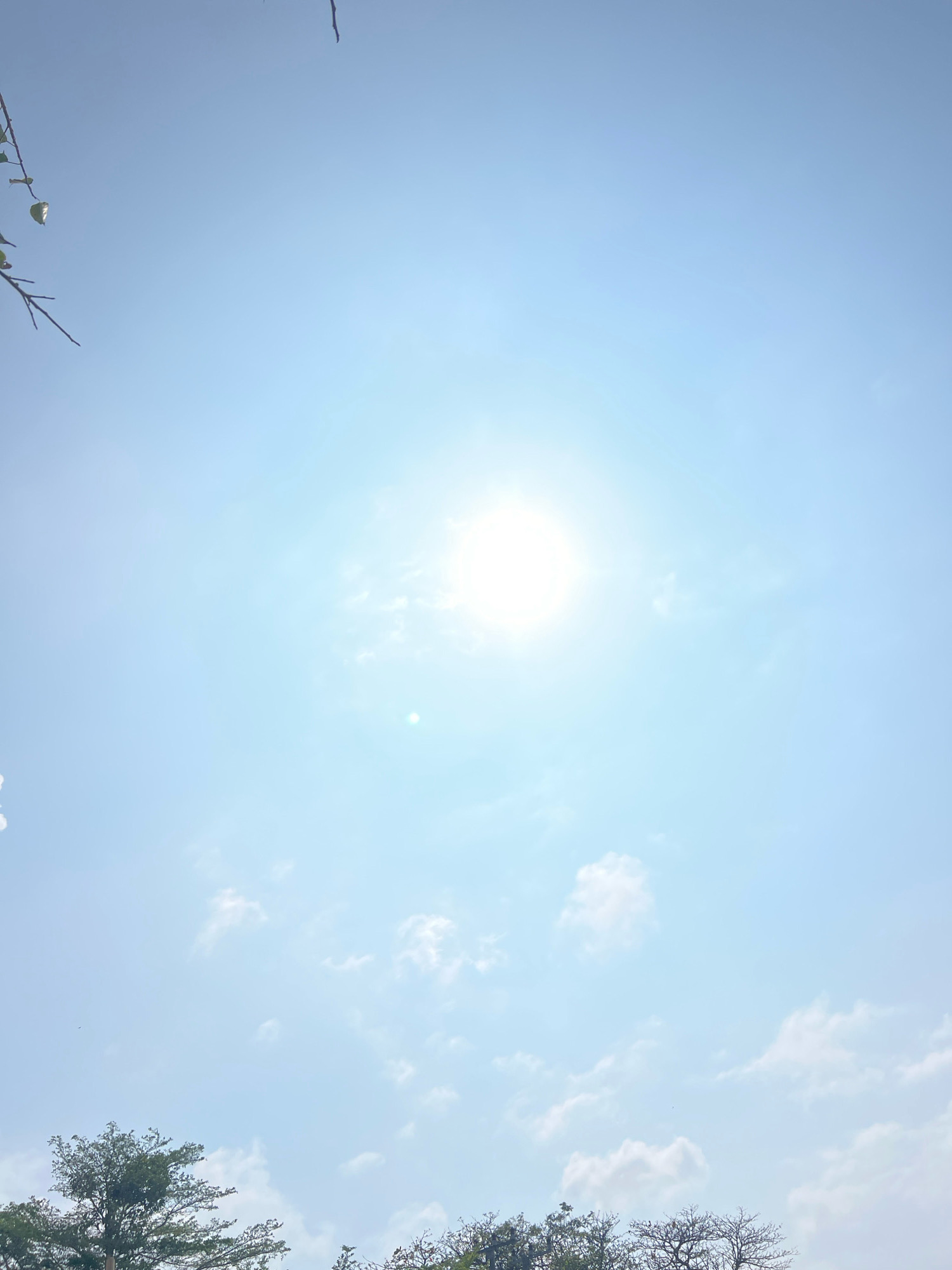 An outdoor, low-angle shot of a clear blue sky with scattered white clouds. The sun is visible, bright and slightly obscured by haze, creating a lens flare effect. In the foreground, the tops of several trees are visible, their branches reaching towards the sky. The image appears to be taken in Kuta, Indonesia, based on the presence of tropical foliage. There are no people or animals in the frame. The overall atmosphere is bright and sunny.