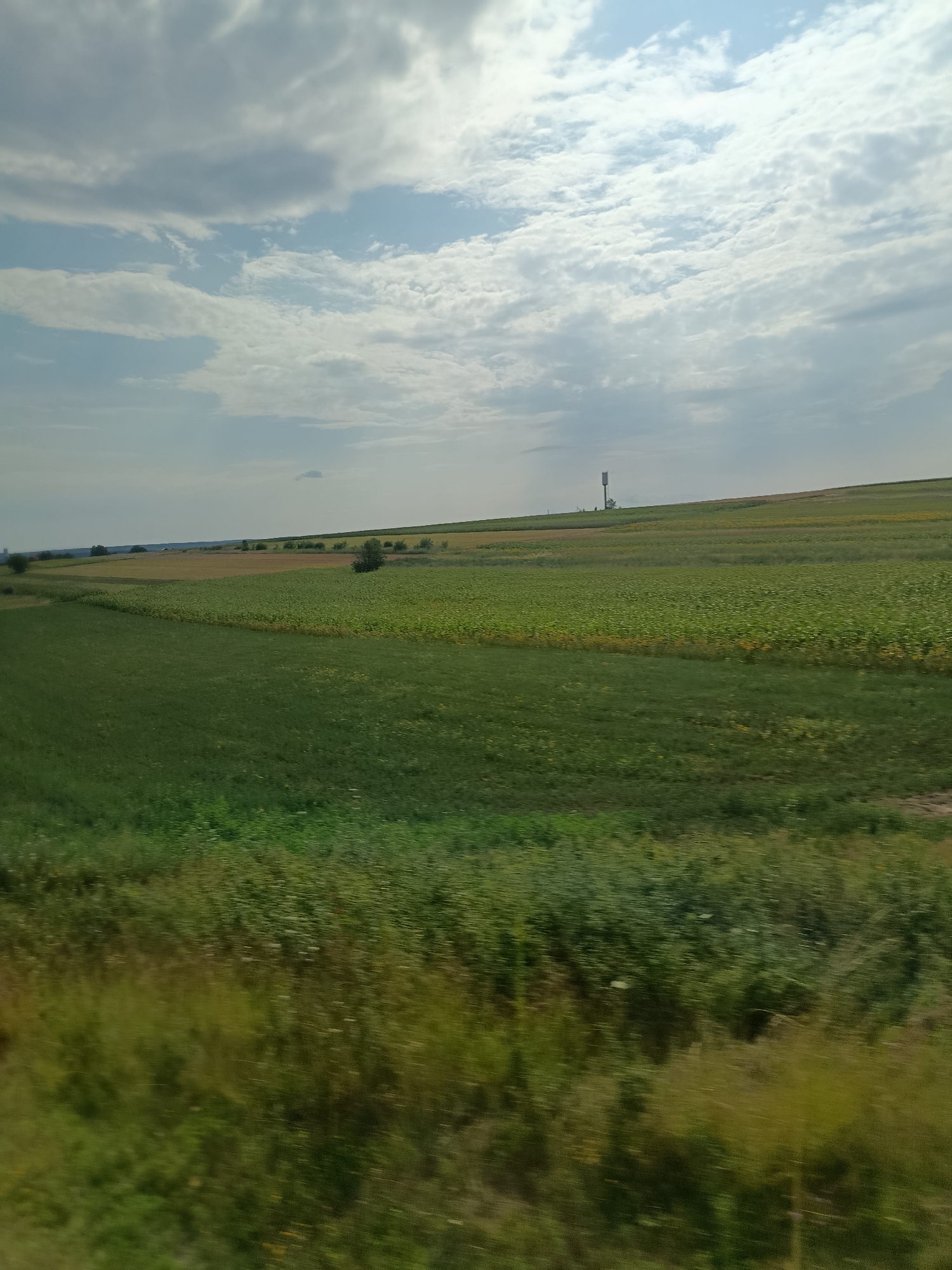 The image captures a wide, rolling landscape dominated by agricultural fields under a cloudy sky. In the foreground, blurred green vegetation suggests motion, possibly from a vehicle. The midground features expansive fields of green crops, with some patches of what appear to be sunflowers or another yellow-flowered plant. In the distance, a tall, slender tower, likely a telecommunication or water tower, stands against the horizon. The landscape extends towards a distant treeline and a gentle rise in the terrain. The overall scene is one of rural tranquility and expansive natural scenery. The location is identified as Razeni, Moldova.