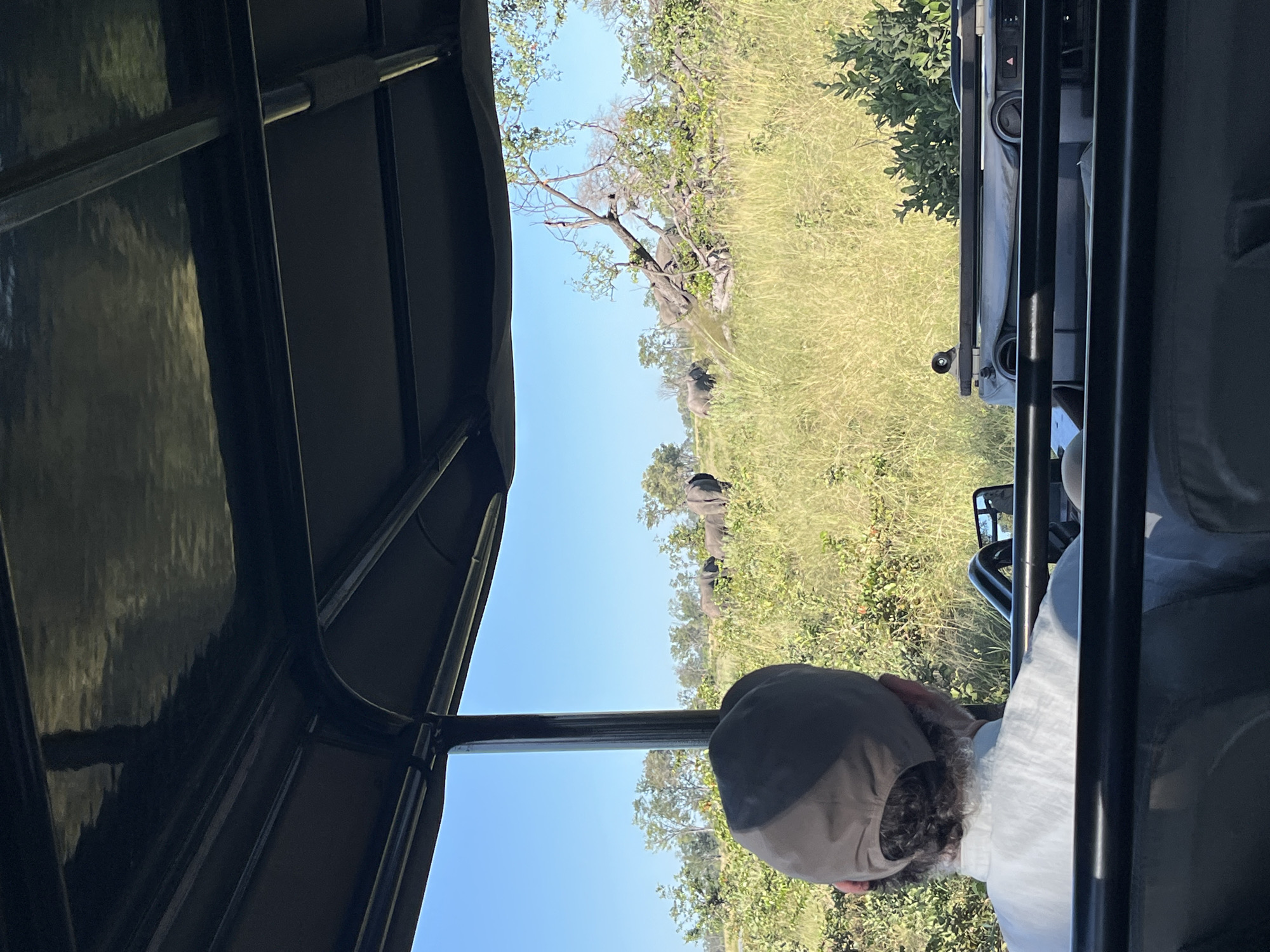 The image, taken from inside a safari vehicle, captures a view of the landscape in Khwai, Botswana. Through the vehicle's window, a grassy plain extends under a bright blue sky. A cluster of trees punctuates the landscape, with what appears to be a group of elephants grazing among them. Inside the vehicle, a person wearing a light-colored cap and a white shirt is visible in the foreground, suggesting they are on a safari tour. The framing of the image is dominated by the vehicle's metal frame, partially obscuring the view, and it is oriented sideways.