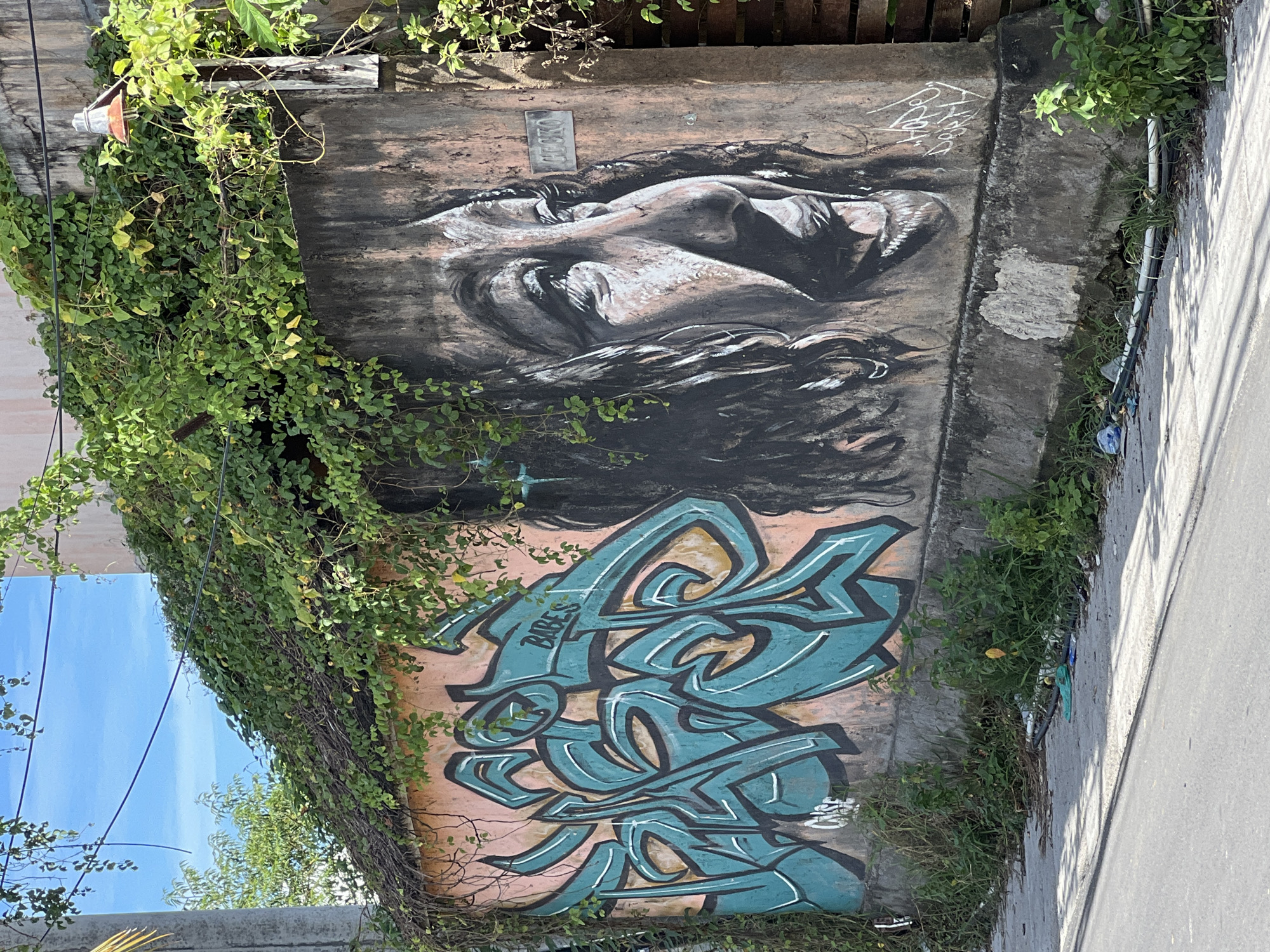 A concrete wall in Kuta Selatan, Indonesia, is covered with art. The top part of the wall features a black and white mural of a sleeping or reclining figure with dark hair. Below the mural, there's a large, teal-colored graffiti tag. A small metal sign is affixed above the mural. The wall is partially obscured by green vines and foliage that extend from the top and sides. A paved road is visible to the right of the wall. Patches of grass and other vegetation are growing at the base of the wall.